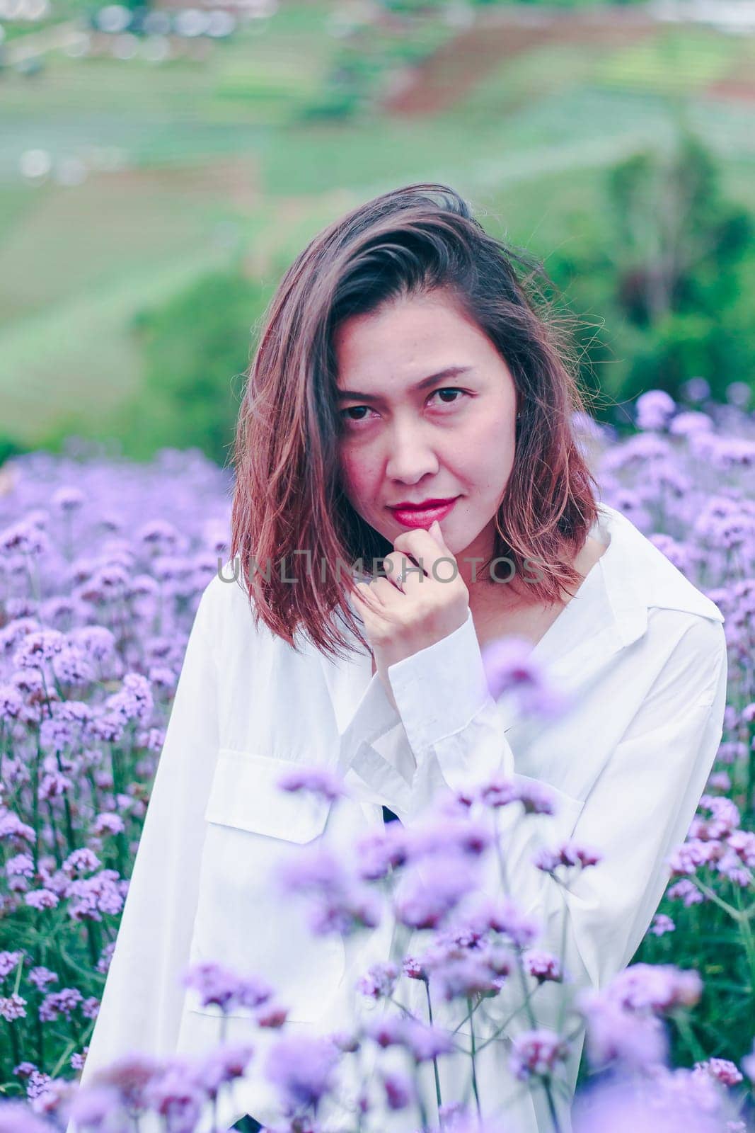 Women in the Verbena field are blooming and beautiful in the rainy season.