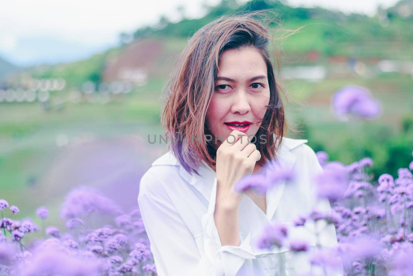 Women in the Verbena field are blooming and beautiful in the rainy season.