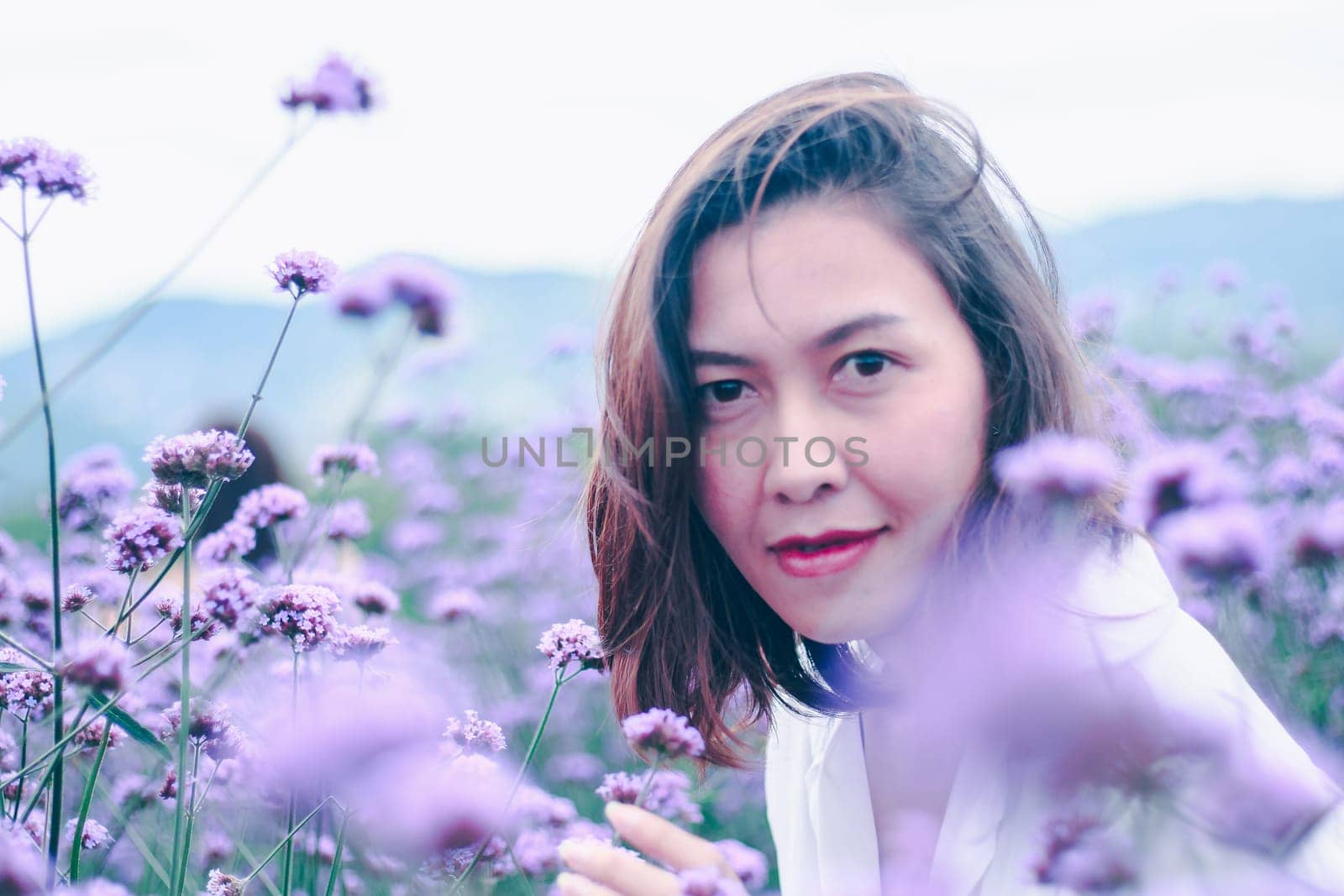 Women in the Verbena field are blooming and beautiful in the rainy season.