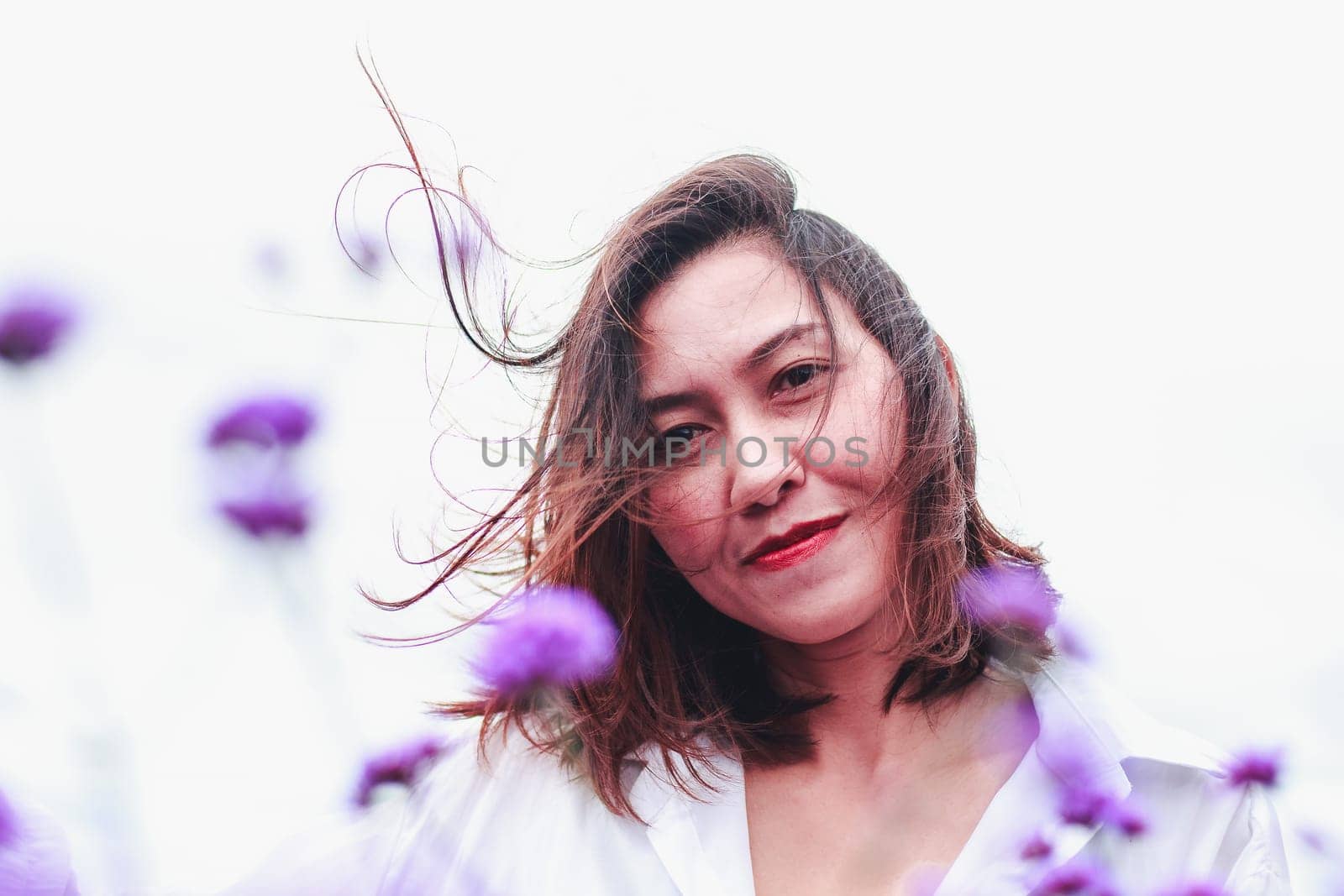 Women in the Verbena field are blooming and beautiful in the rainy season.