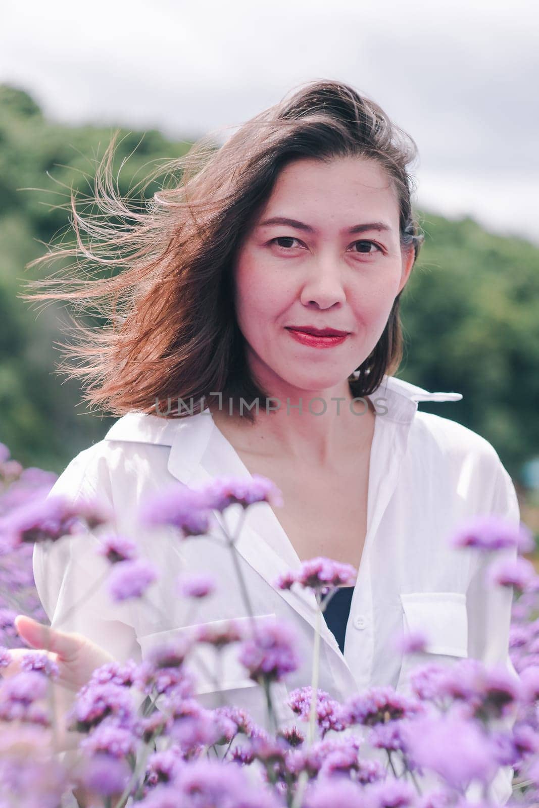 Women in the Verbena field are blooming and beautiful in the rainy season.