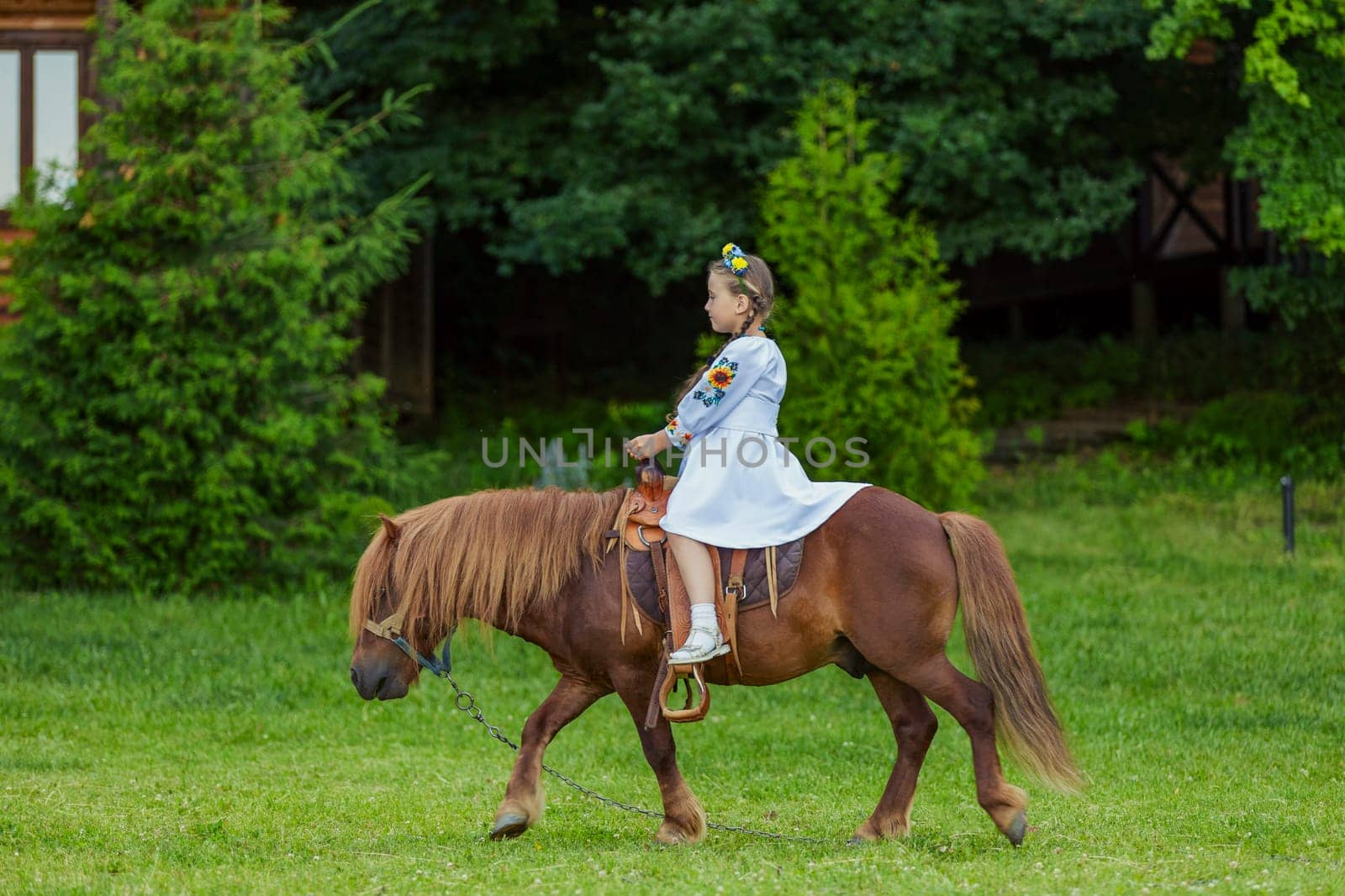 little girl riding a pony