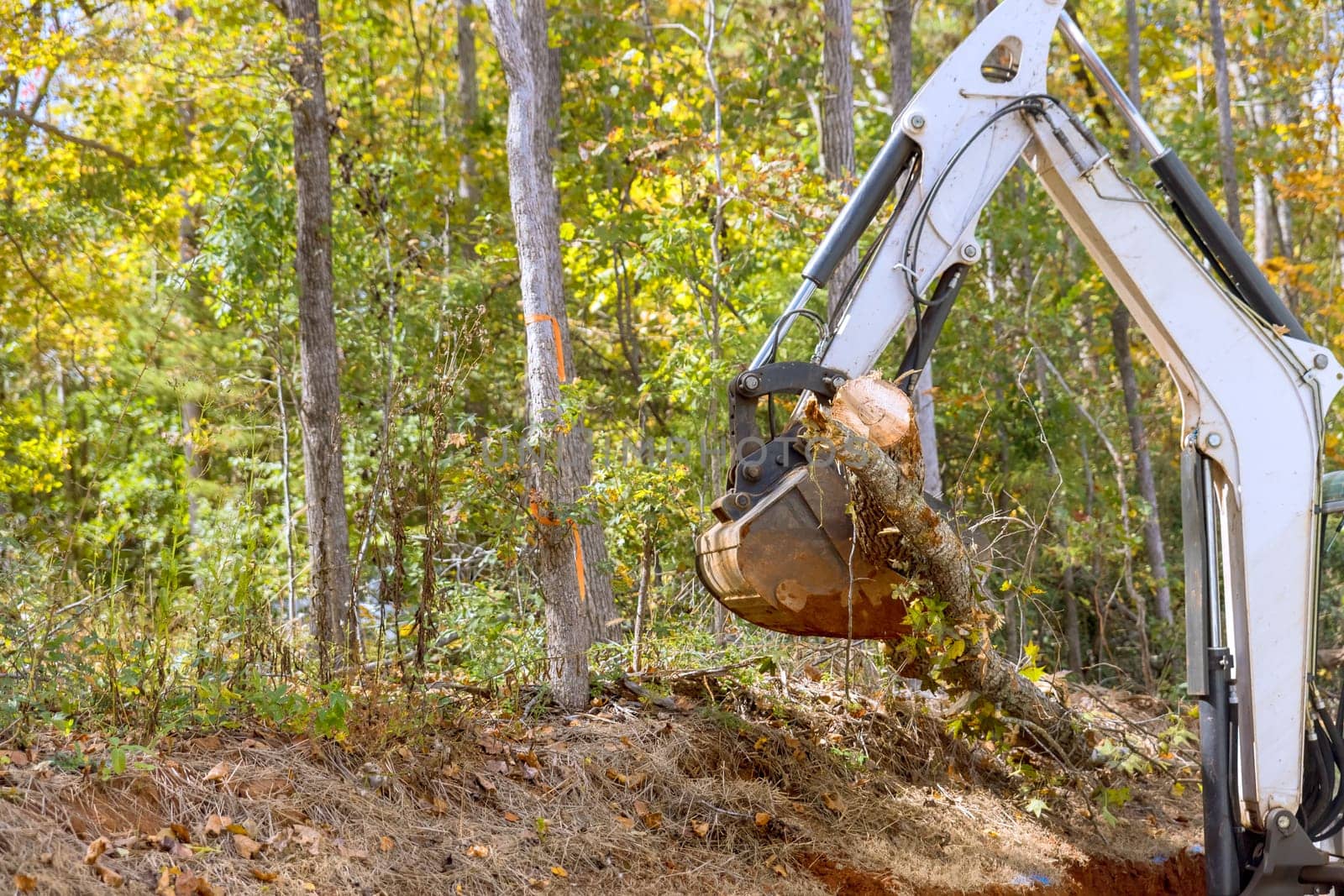 Skid steer tractor removes trees for housing complex construction in landscaping project