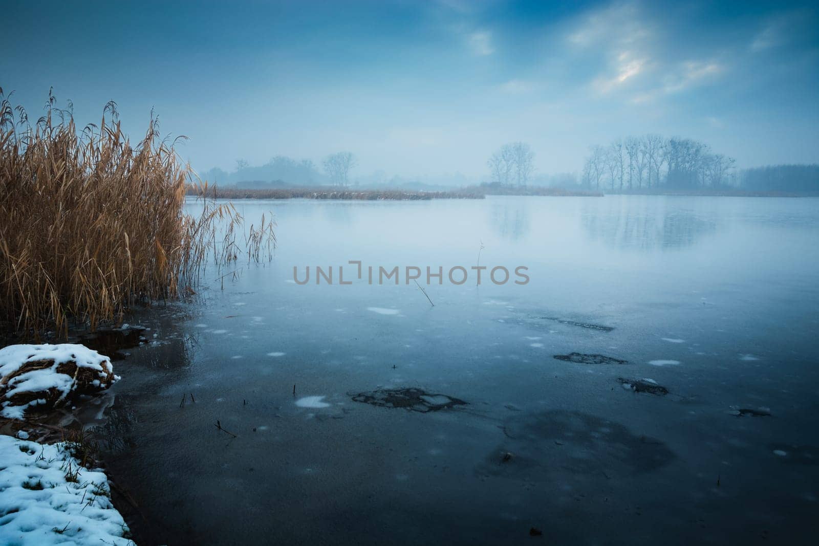 Winter landscape with a view of the shore of a frozen lake on a foggy day, Stankow, eastern Poland