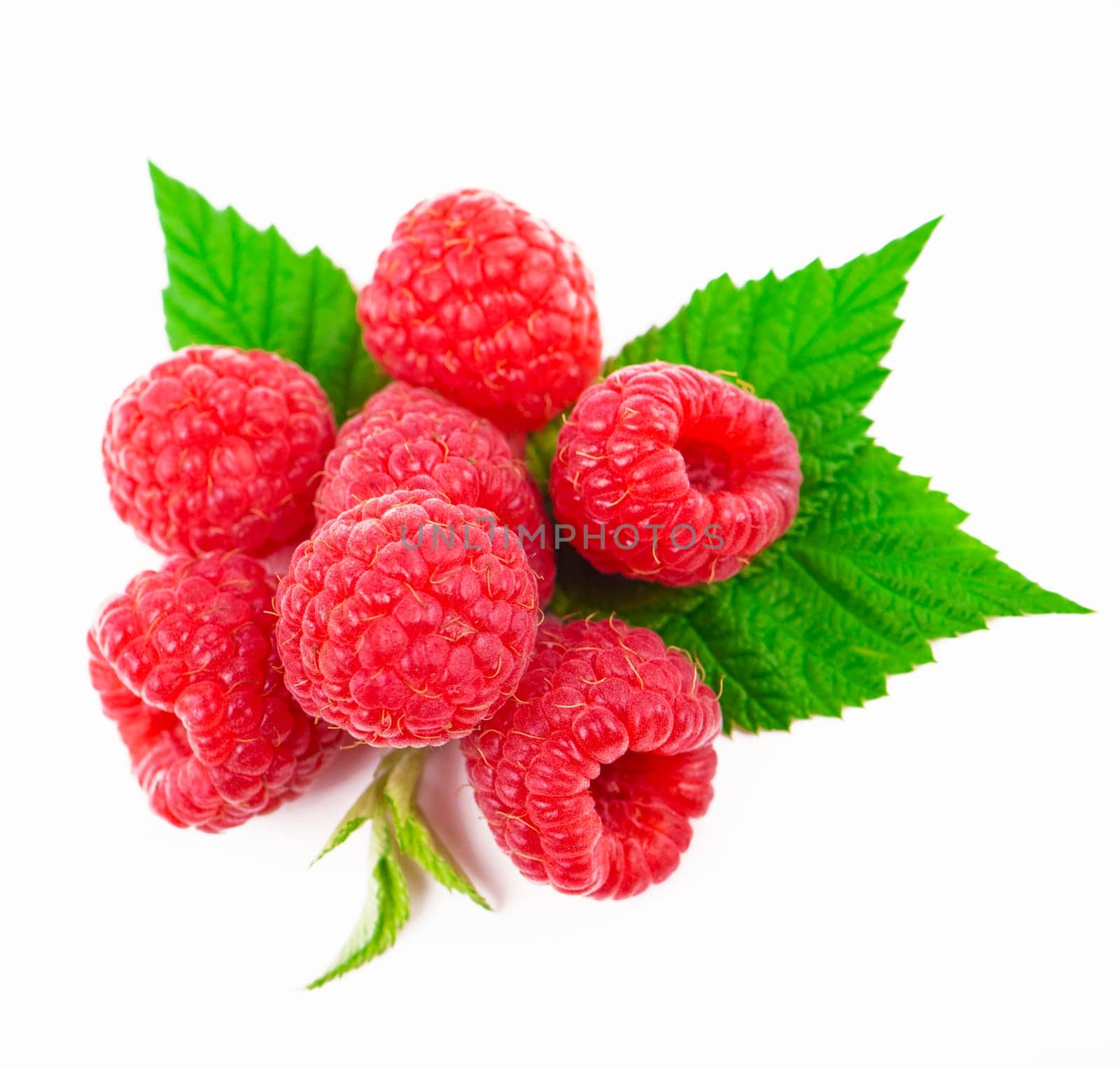 ripe sweet red raspberry with a shade and reflection isolated on a white background