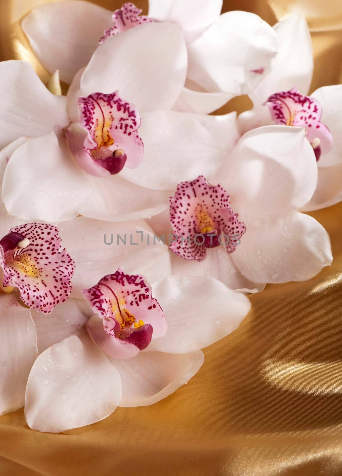 A branch of white orchids on a shiny gold background by aprilphoto
