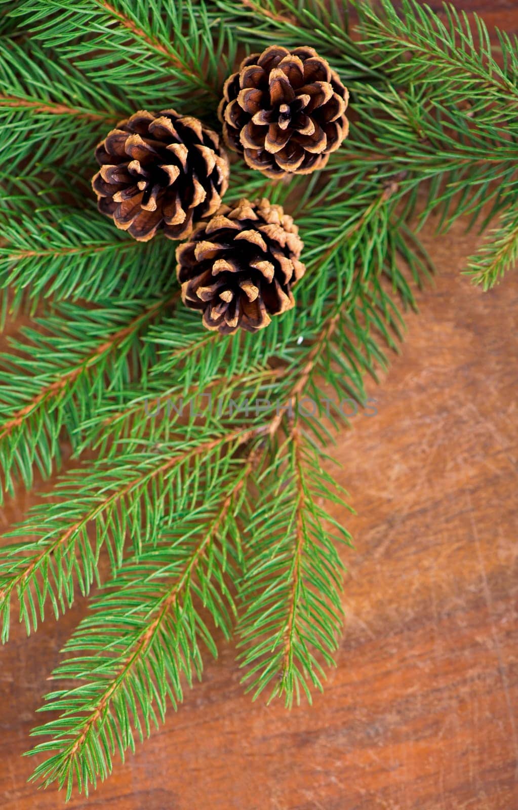Christmas, winter background. Green spruce branch with pine cones on a wooden table by aprilphoto