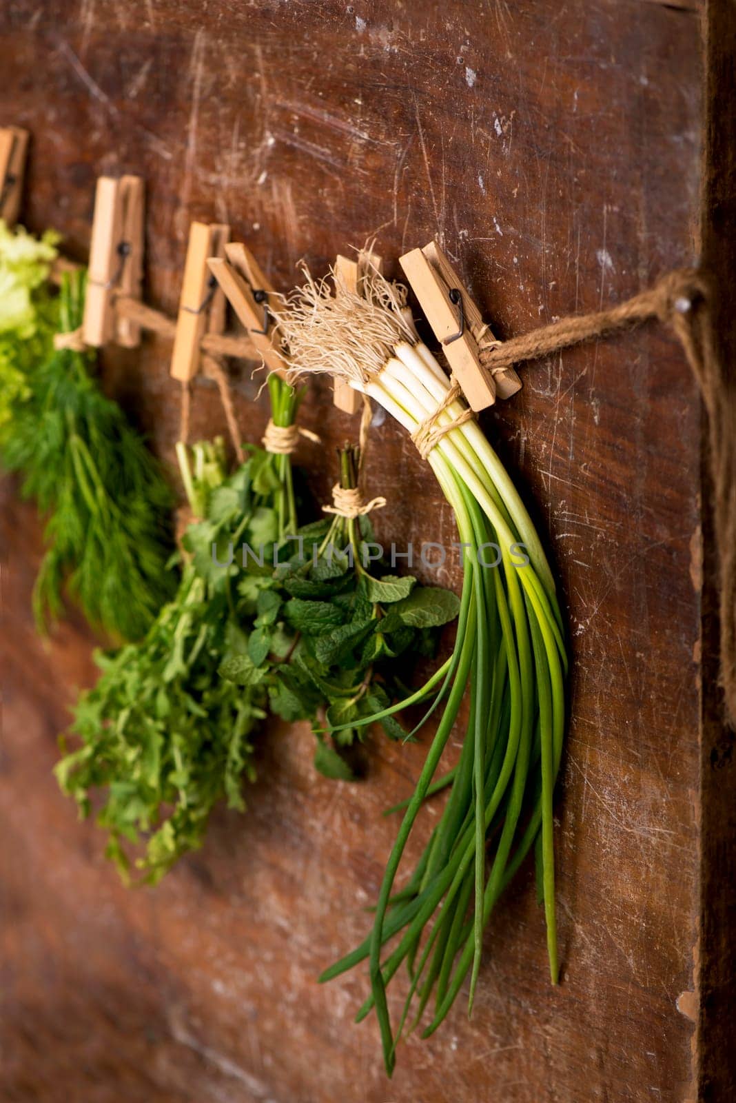 Fresh herbs - green onions, dill, parsley and kiza, hanging over wooden background by aprilphoto
