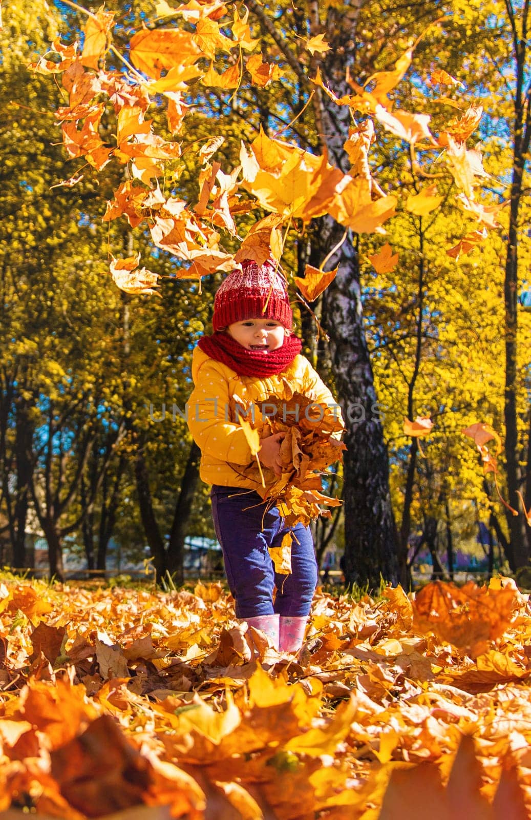 Autumn child in the park with yellow leaves. Selective focus. by yanadjana