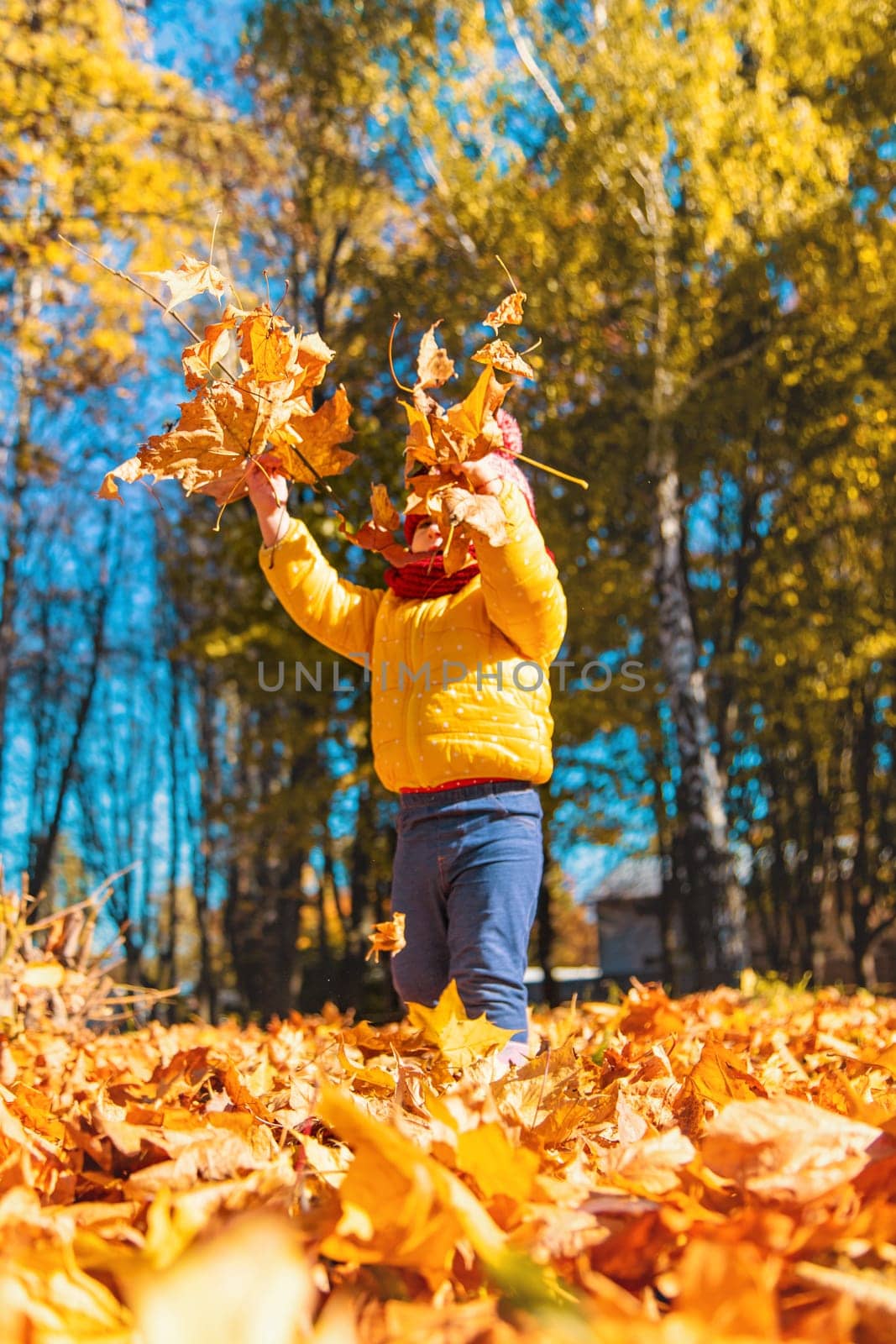 Autumn child in the park with yellow leaves. Selective focus. by yanadjana