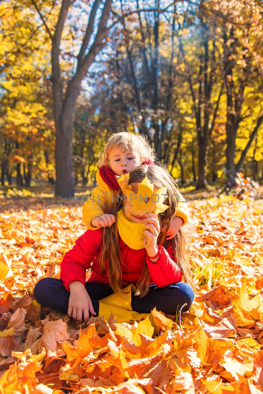 Autumn child in the park with yellow leaves. Selective focus. Kid.