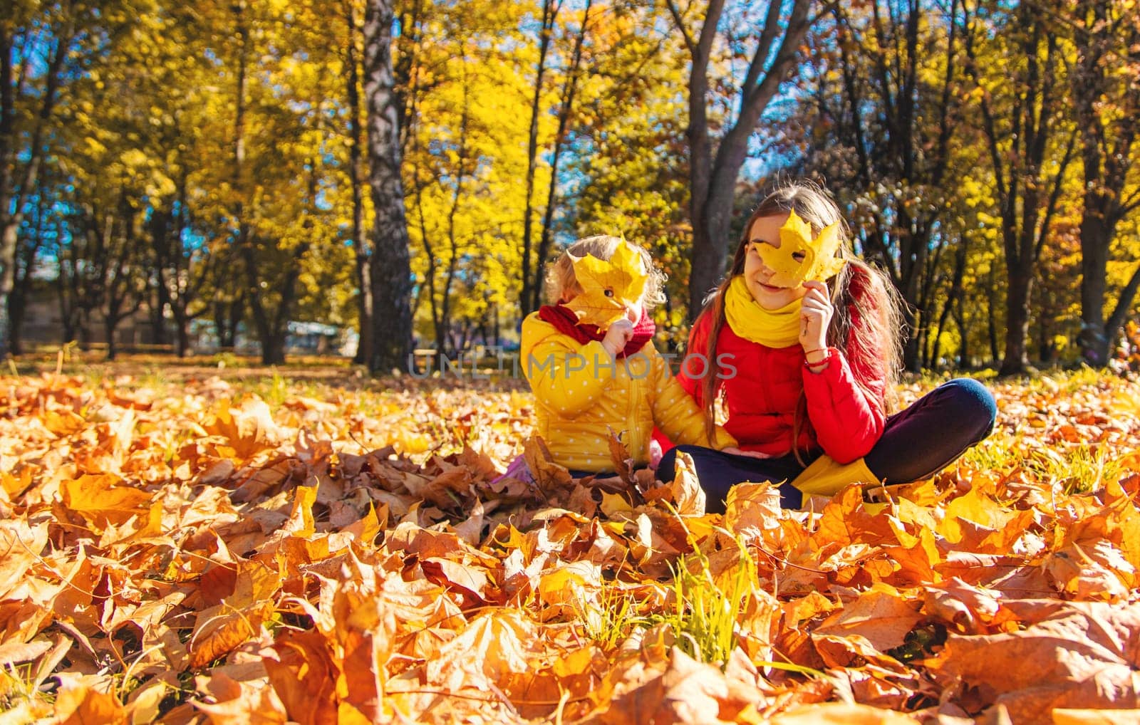 Autumn child in the park with yellow leaves. Selective focus. Kid.