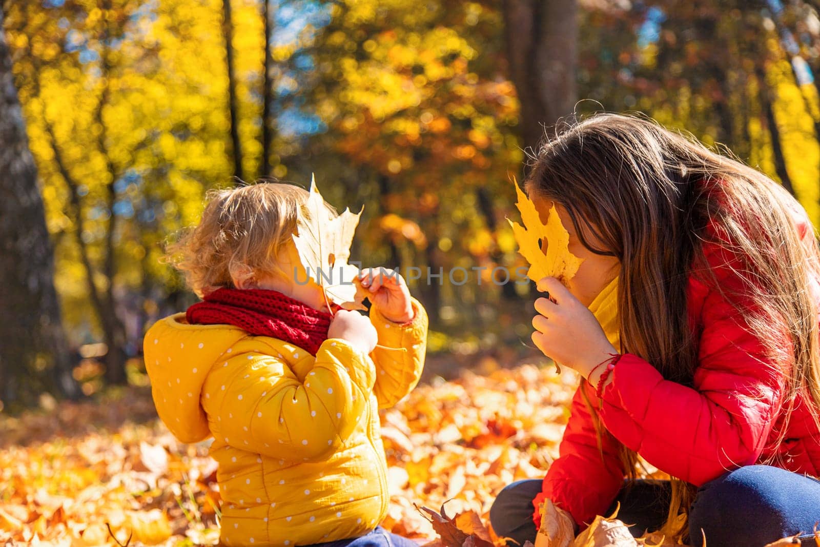 Autumn child in the park with yellow leaves. Selective focus. Kid.