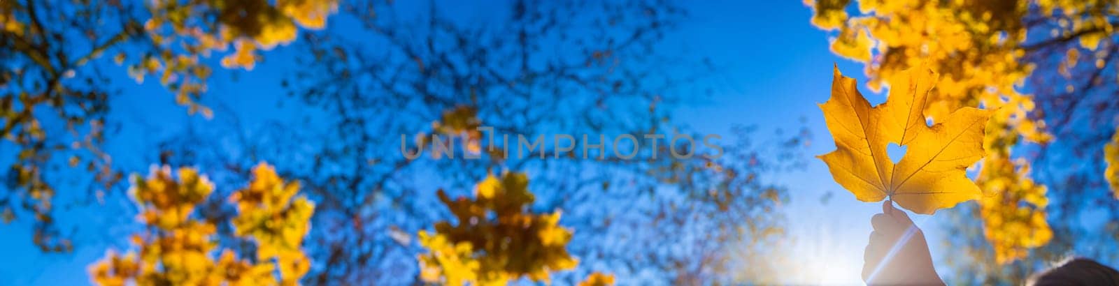 Autumn child in the park with yellow leaves. Selective focus. by yanadjana