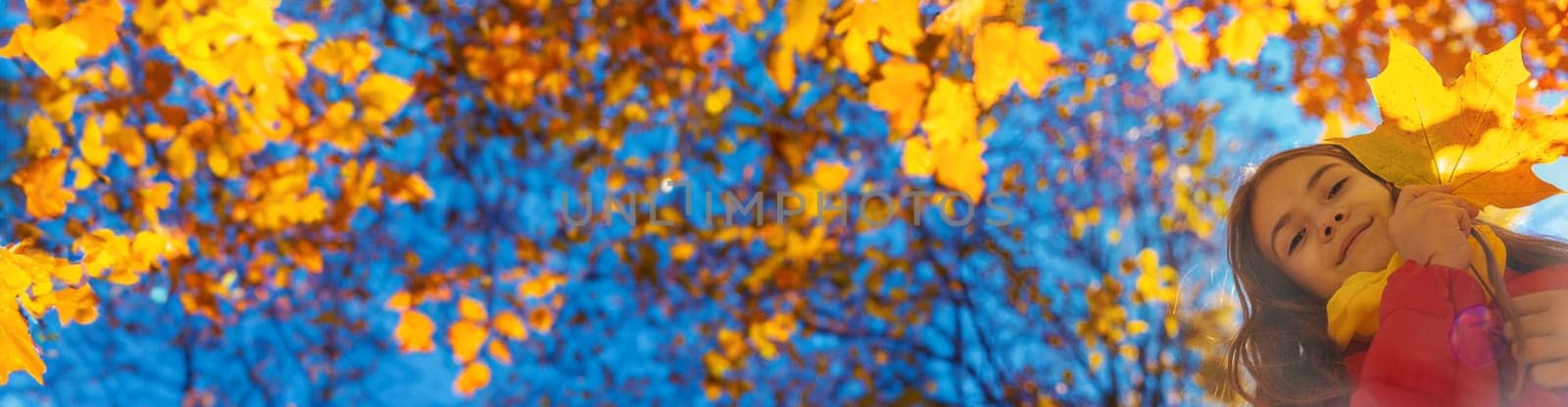 Autumn child in the park with yellow leaves. Selective focus. by yanadjana