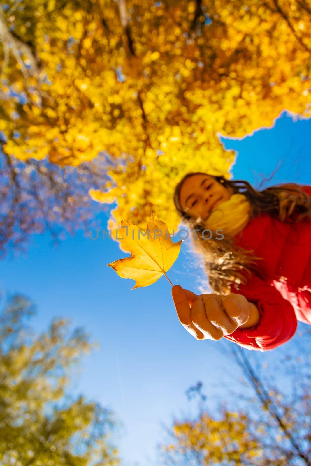 Autumn child in the park with yellow leaves. Selective focus. by yanadjana