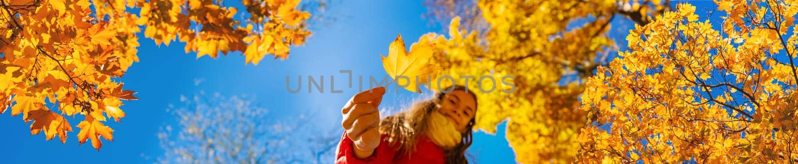 Autumn child in the park with yellow leaves. Selective focus. Kid.