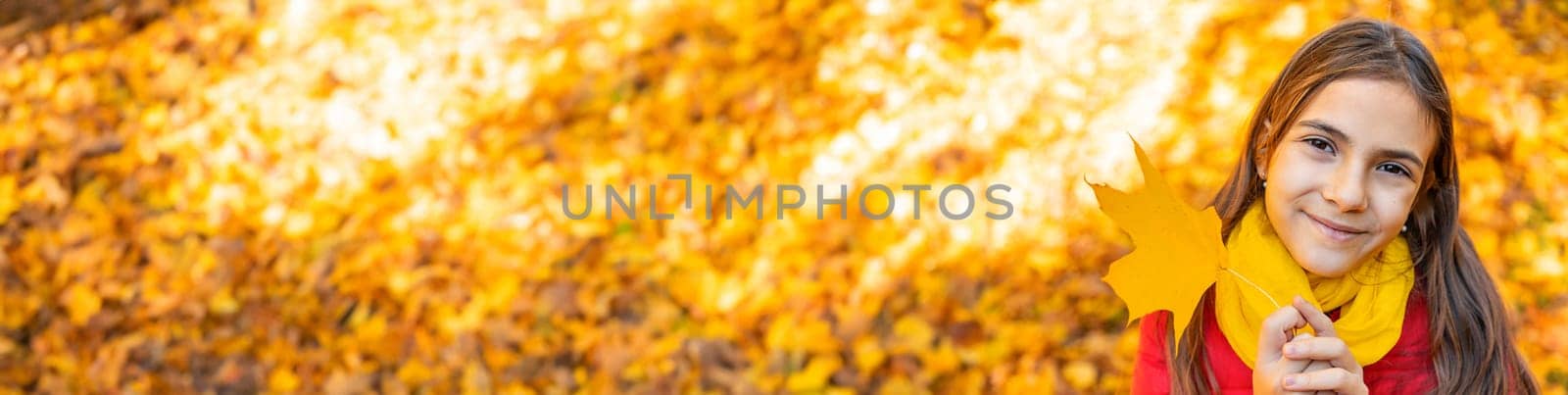 Autumn child in the park with yellow leaves. Selective focus. Kid.