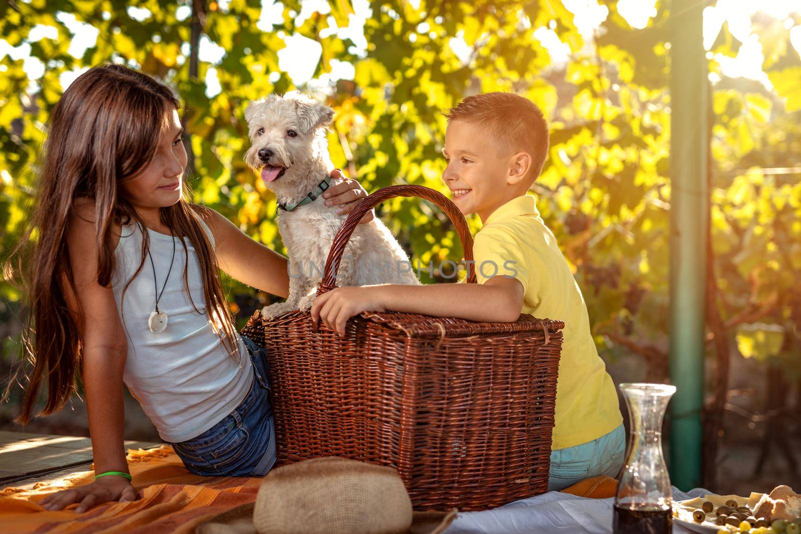 Beautiful young smiling brother and sister with their dog having picnic at a vineyard.
