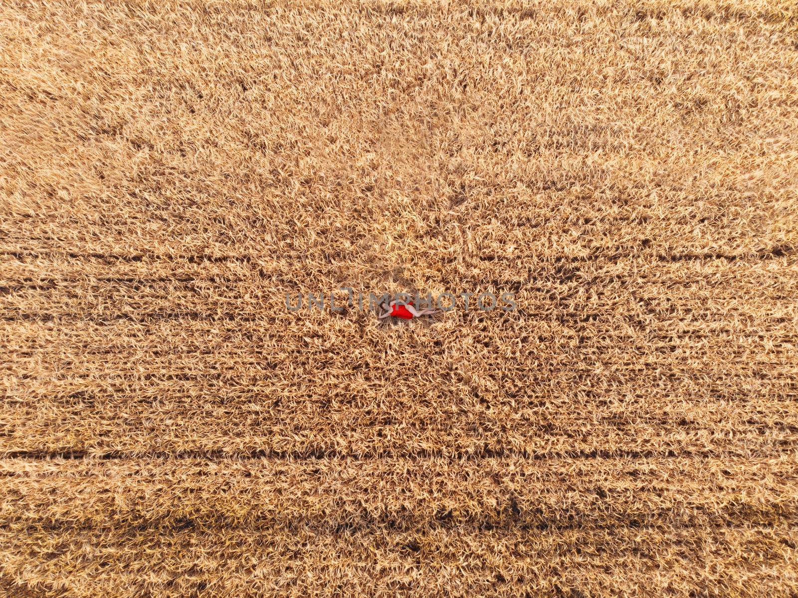 Aerial view of woman in red dress lying in the yellow field of wheat