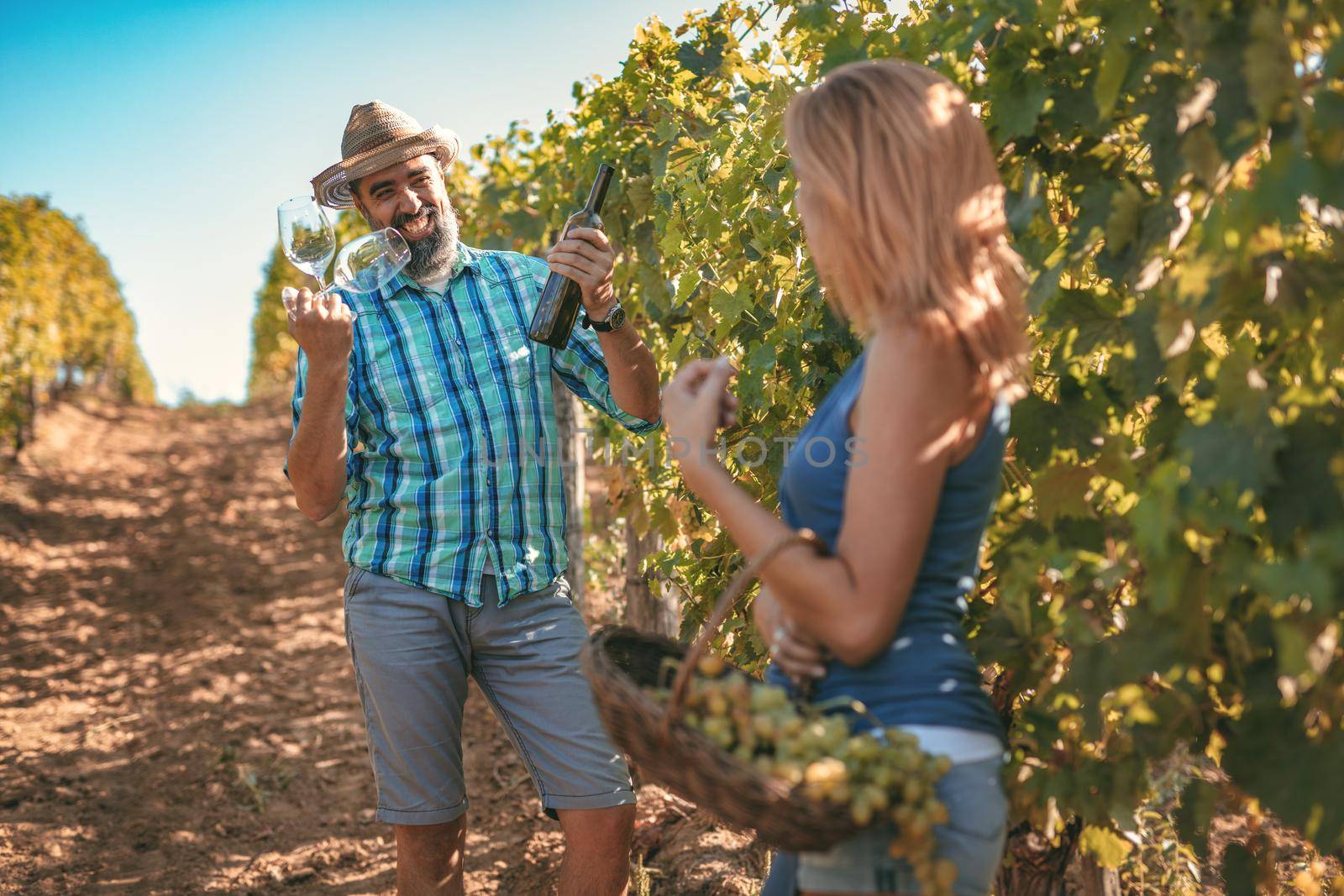 Beautiful smiling couple walking through a vineyard and tasting wine.