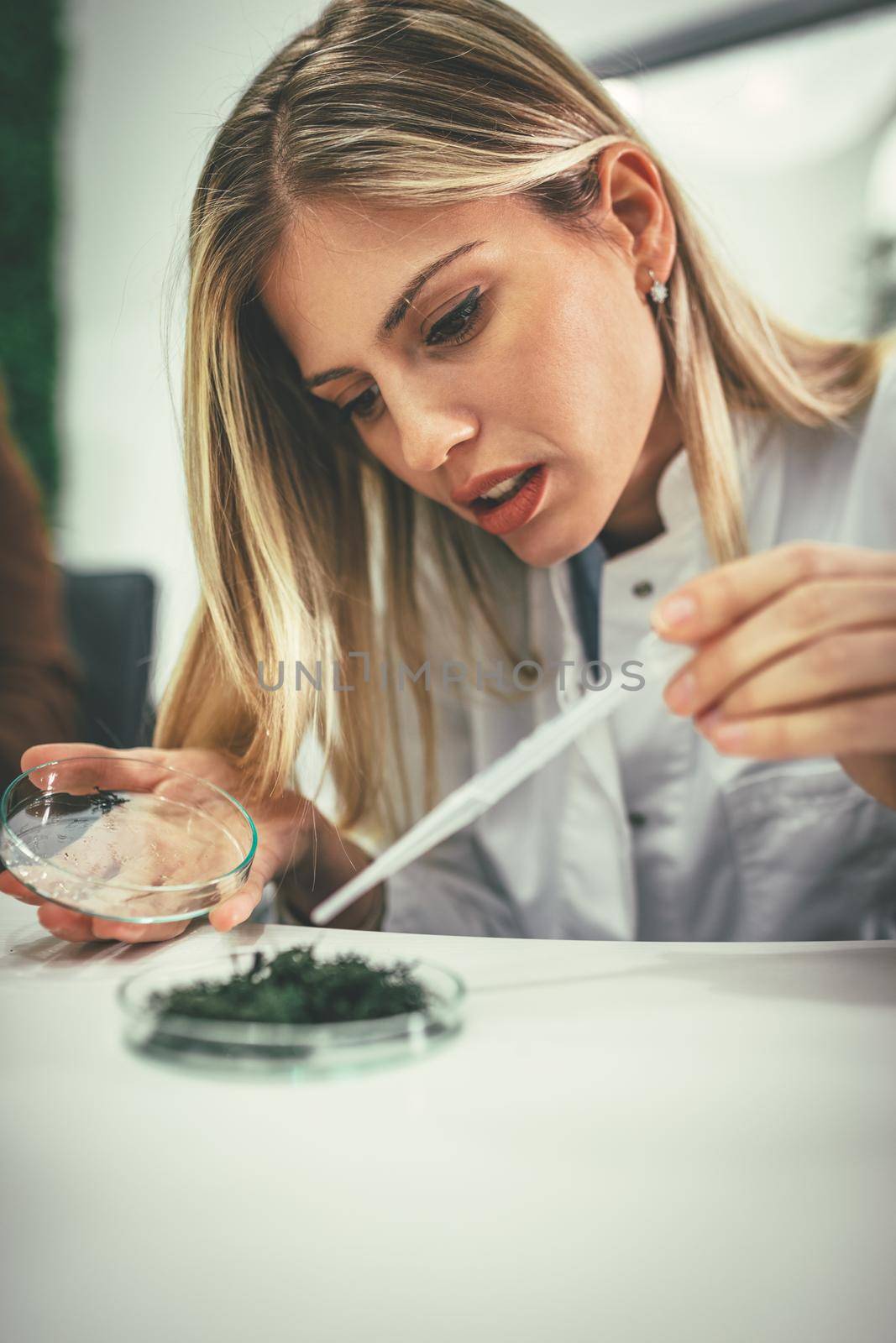 University female biologist analysing the sample of plant in the lab tube, watering it with drops of nutritious fluid.