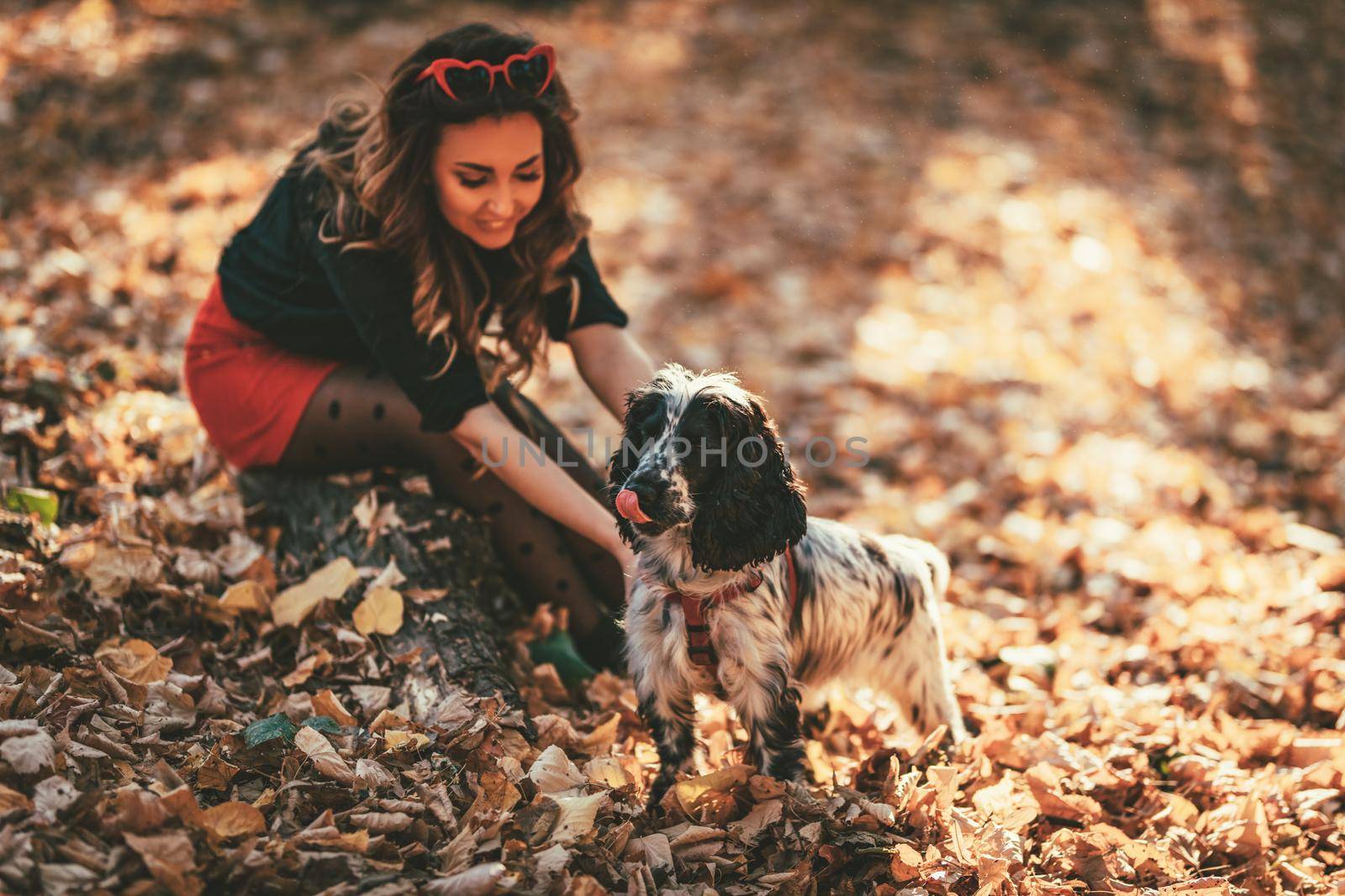 Cute young woman enjoying in city park in autumn colors. She is sitting on the ground covered with leaves and having fun with her dog.