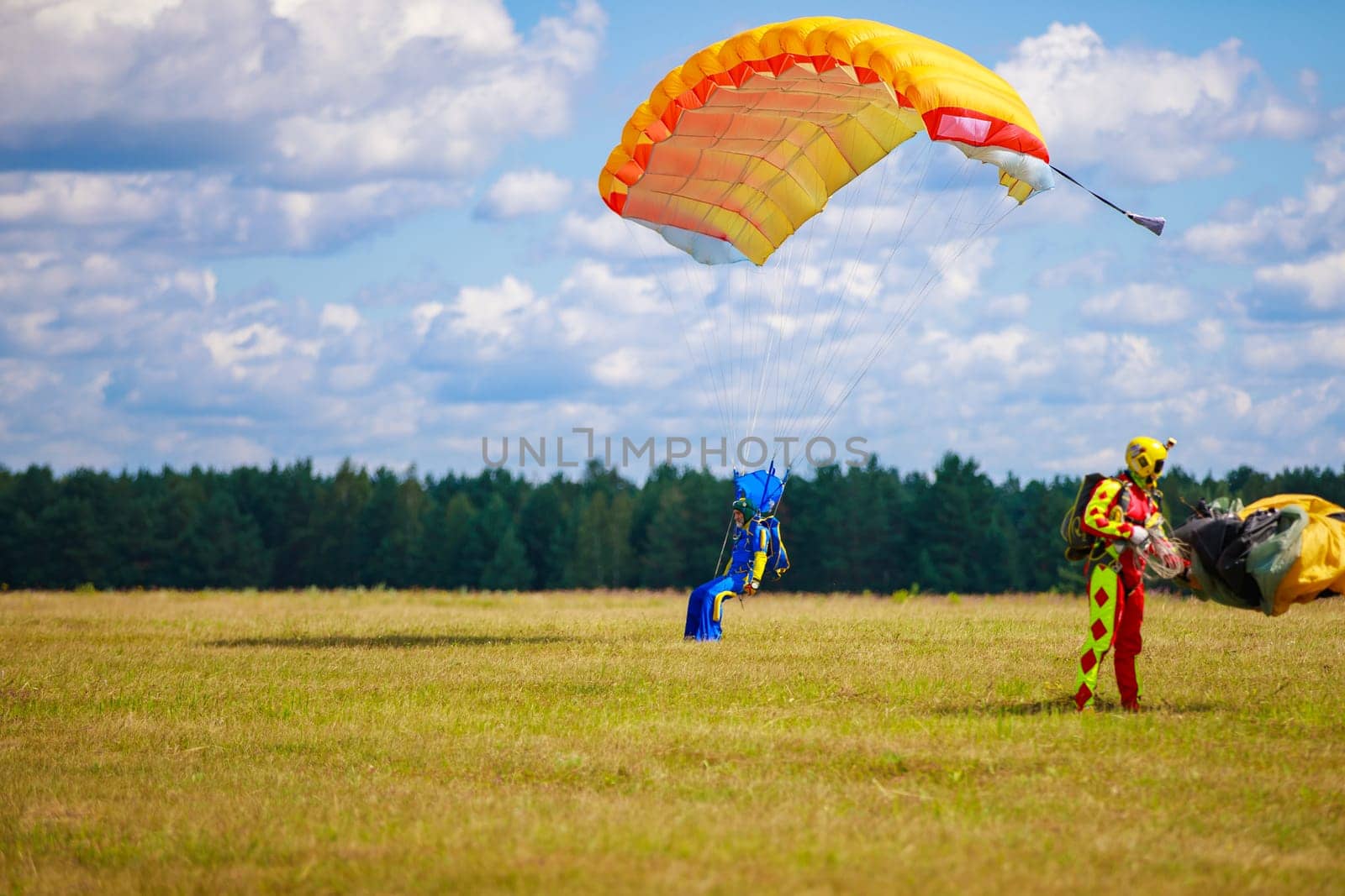 Landing skydivers-athletes with a parachute on the ground. High quality photo. Kirzhach Russia July 22, 2023