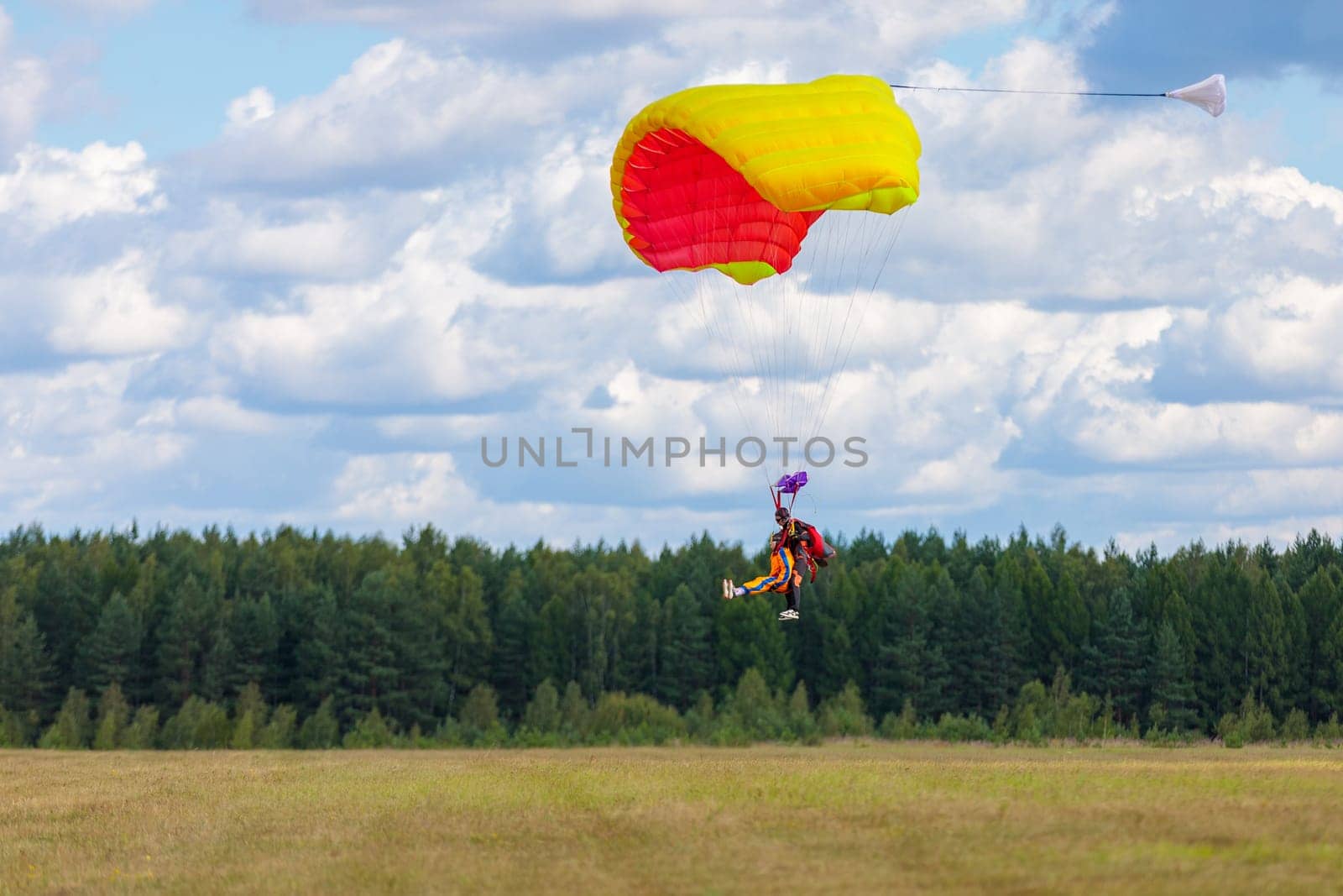 Landing skydivers-athletes with a parachute on the ground. Kirzhach Russia July 22, 2023