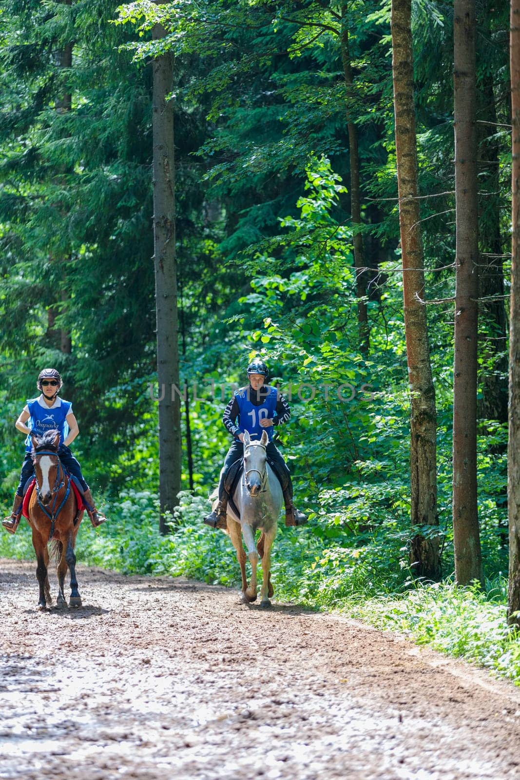 A rider rides a horse in a competition. Moscow Russia July 1, 2023. High quality photo