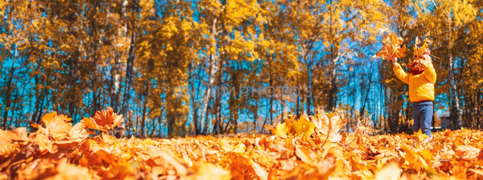 Autumn child in the park with yellow leaves. Selective focus. Kid.