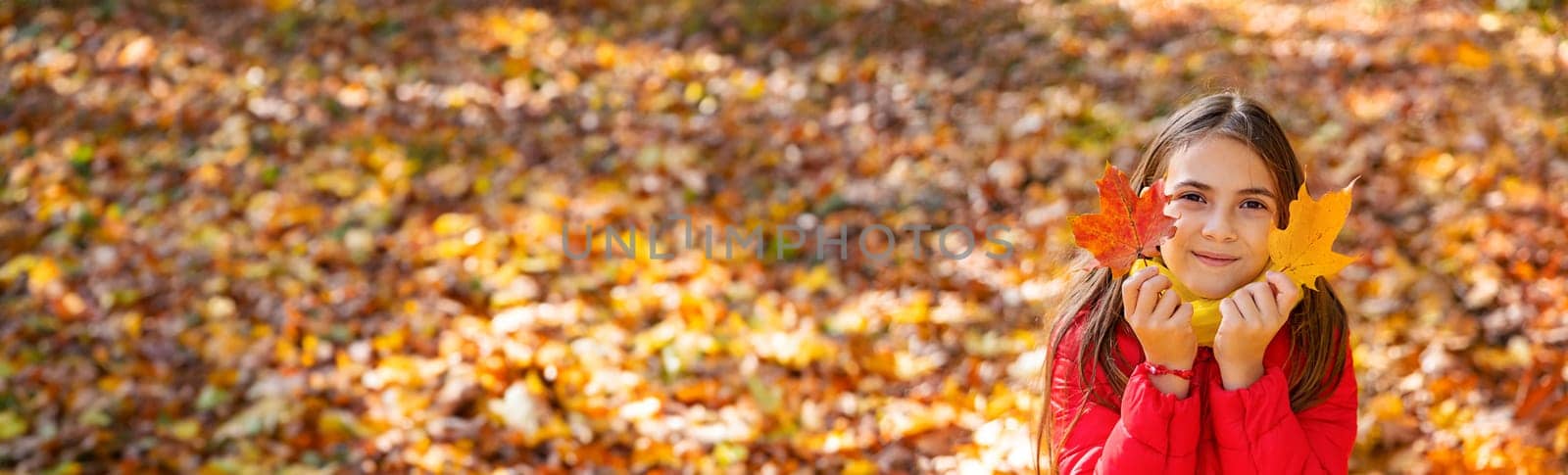 Autumn child in the park with yellow leaves. Selective focus. Kid.