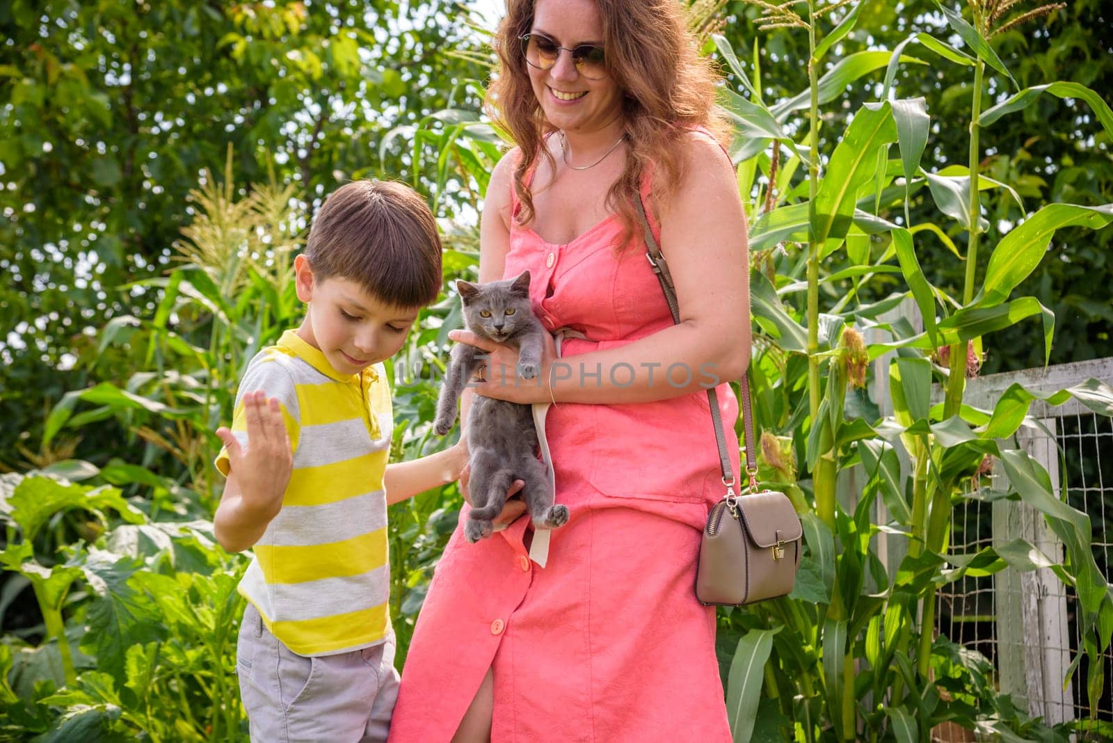 Caucasian mother and her son playing with cat in the village countryside. Boy hugging young kitten. Playing with a cat.