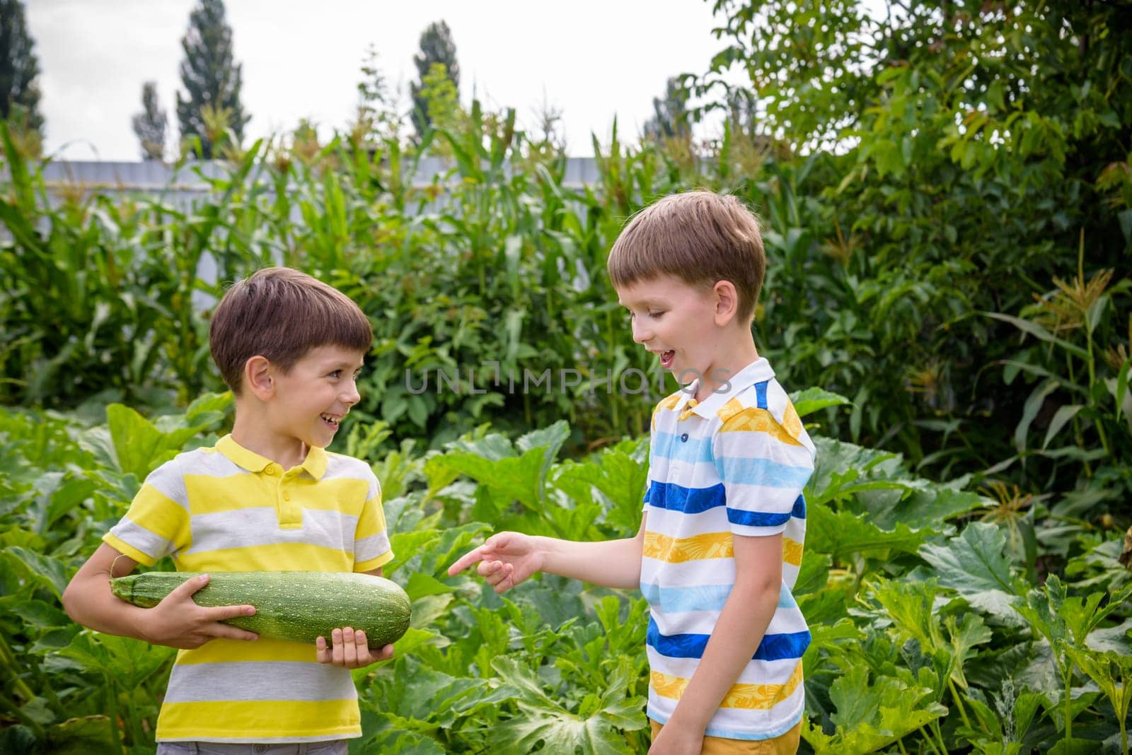 Portrait of two happy young boy holding marrows in community garden. Happy kids sibling brothers smiling and grimacing surprised with reach harvest. Eco village farming concept.