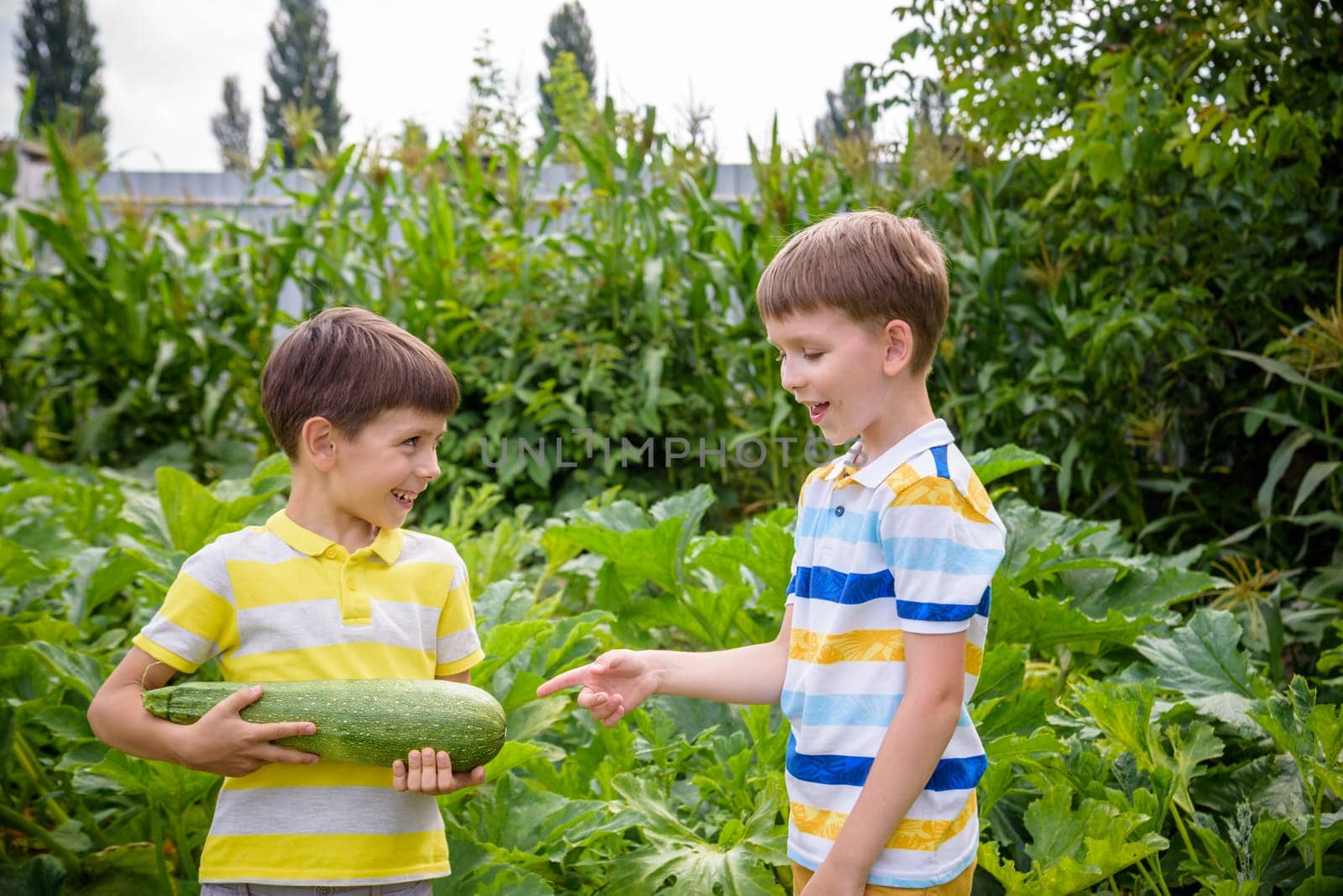 Portrait of two happy young boy holding marrows in community garden. Happy kids sibling brothers smiling and grimacing surprised with reach harvest. Eco village farming concept.