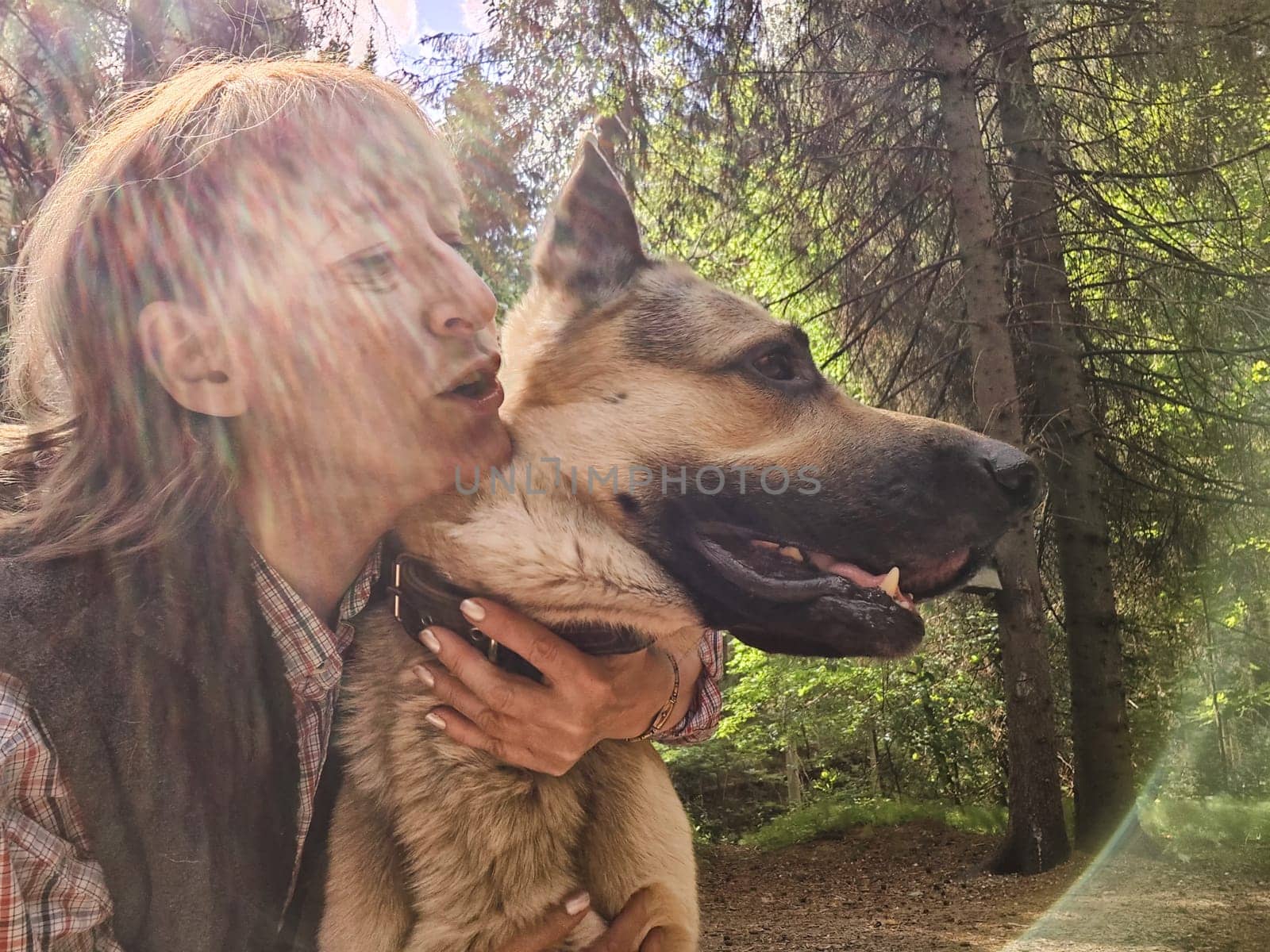 A girl or a woman and German shepherd or Eastern European Shepherd dog in the forest, in nature, on a spring, summer, or autumn day. The concept of friendship between humans and animals