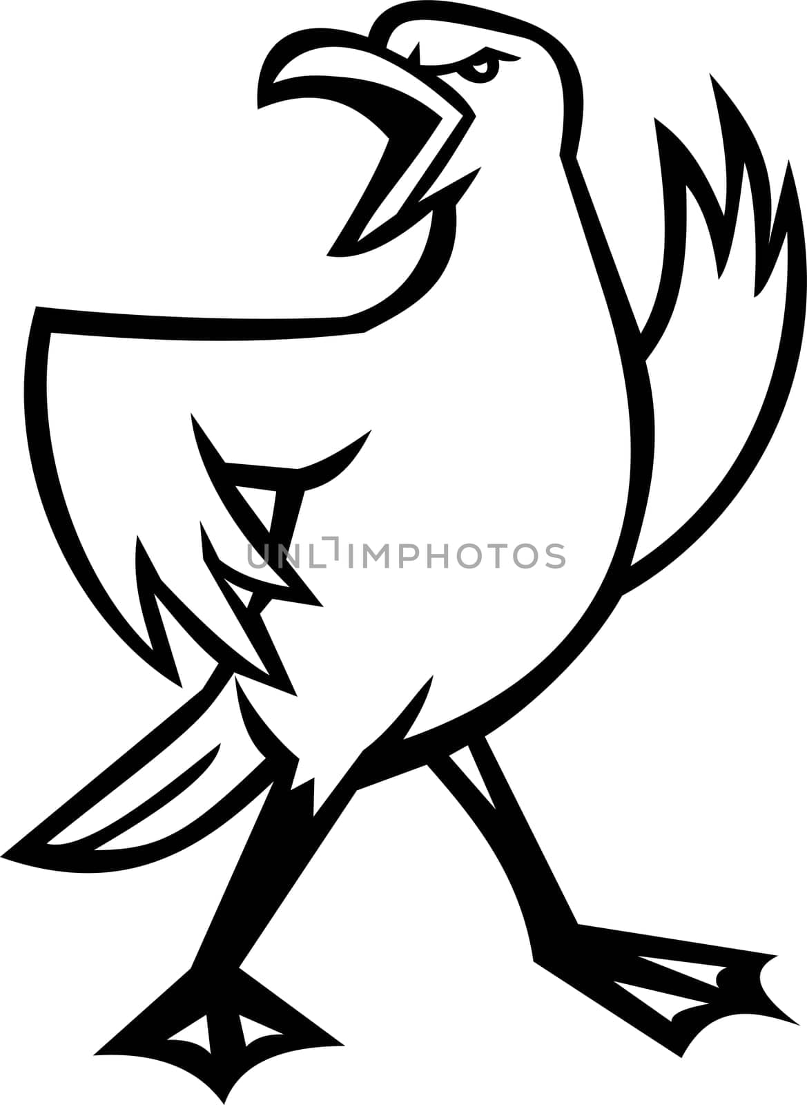 Mascot illustration of head of an angry seagull shouting and standing looking to side viewed from   on isolated background in retro style.