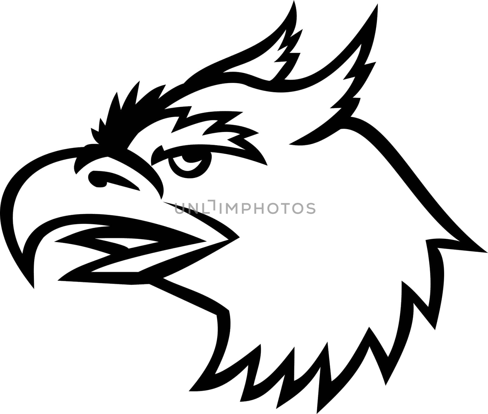 Mascot illustration of head of a head of a roc, an enormous legendary bird of prey in the popular mythology of the Middle East viewed from side on isolated background in retro style.
