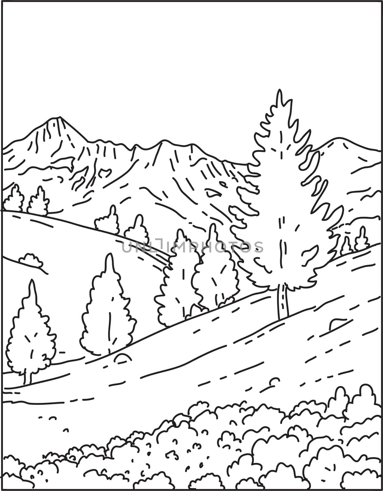 Mono line illustration of Mercantour National Park or Parc national du Mercantour located in the Alpes-de-Haute-Provence and Alpes-Maritimes departments in France done in monoline line art style.
