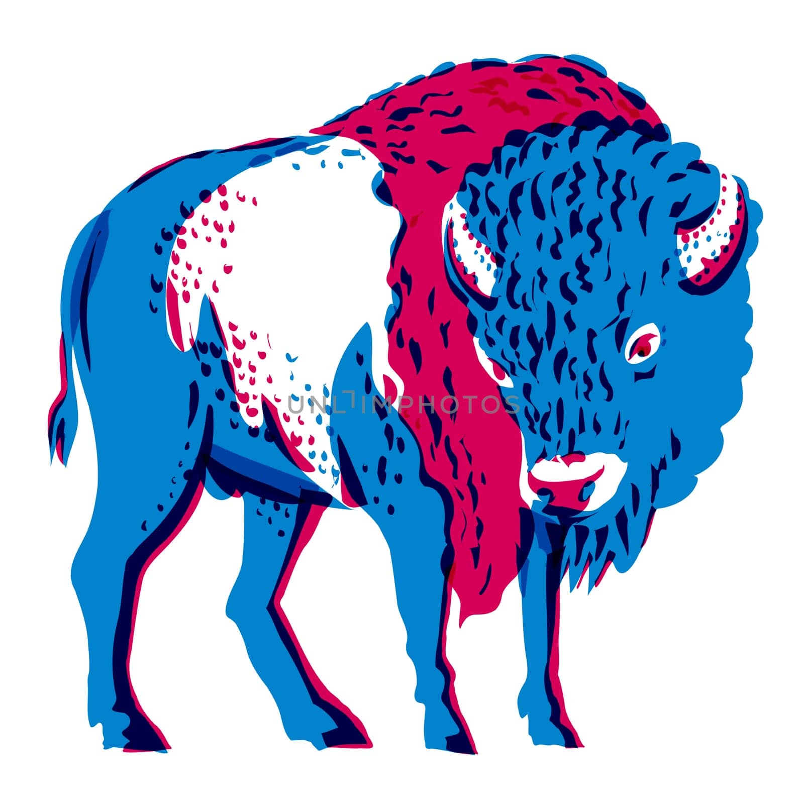 Risograph technique illustration of an American bison standing viewed from front done in retro riso effect digital screen printing style.
