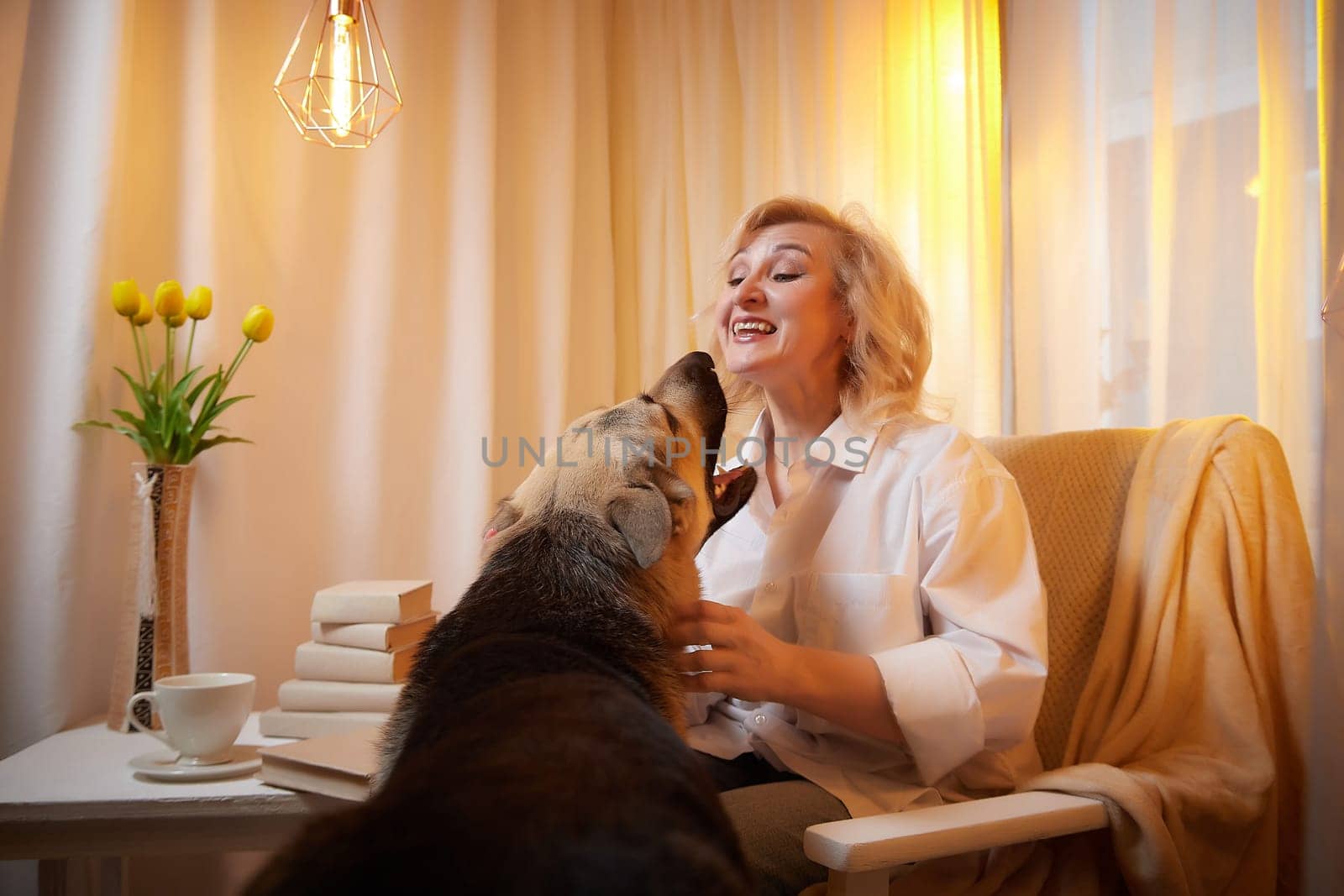 Adult mature woman of 40-60 with big shepherd dog in white shirt. Room with calm cozy evening atmosphere with transparent curtains and soft warm light of lamps. Concept of love for animals and pet