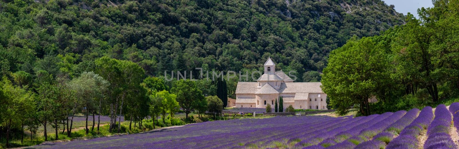 Senanque Abbey Gordes Provence Lavender fields Notre-Dame de Senanque by FreeProd