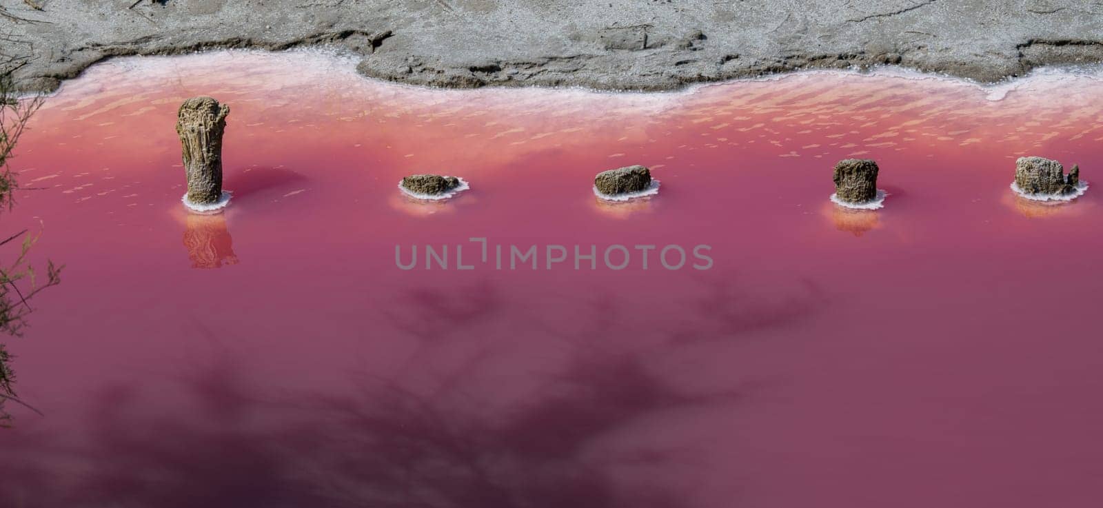 Wooden stakes corroded by salt and pink salt water, Camargue, Salin de Guiraud, France by FreeProd