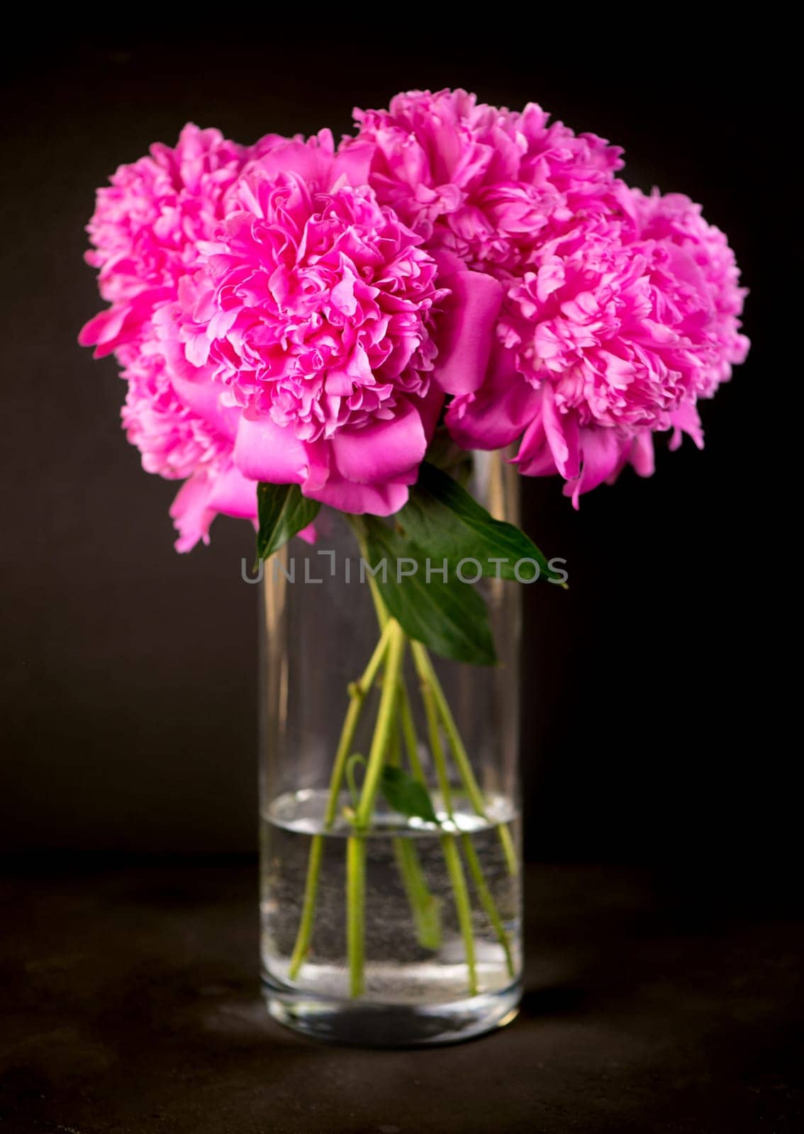 Pink floral background. Background bouquet of beautiful pink peonies. Blooming peony flowers, close-up. Wedding background, Valentine's day concept.