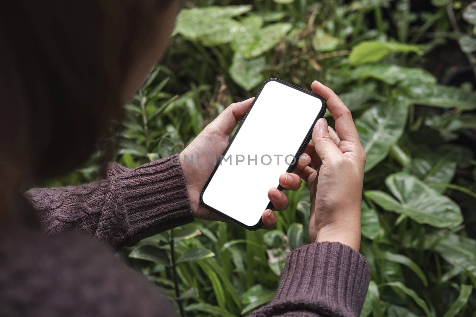 Mockup image of closeup woman hand holding mobile phone with blank white smartphone screen at the outdoor. by wichayada