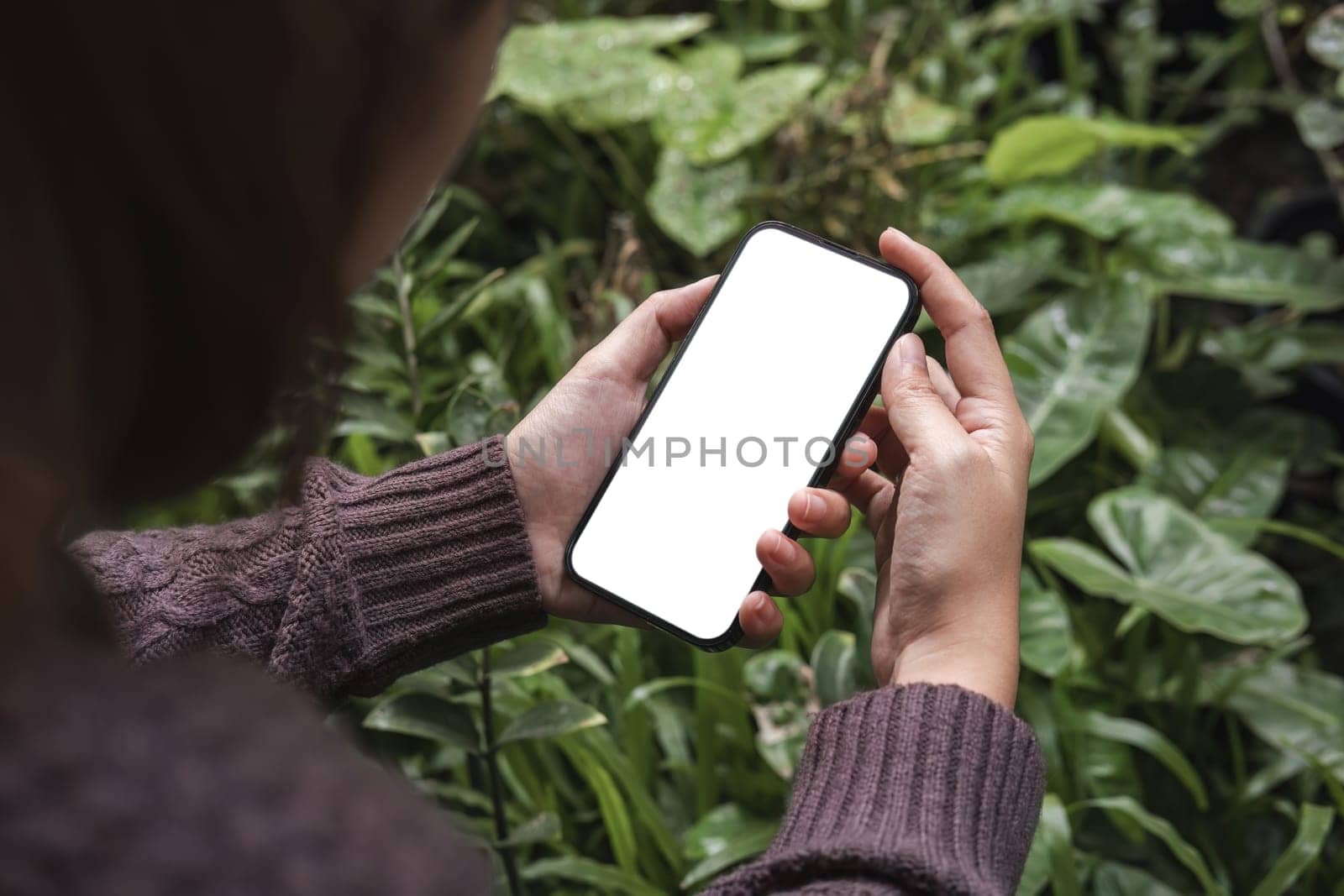 Mockup image of closeup woman hand holding mobile phone with blank white smartphone screen at the outdoor..