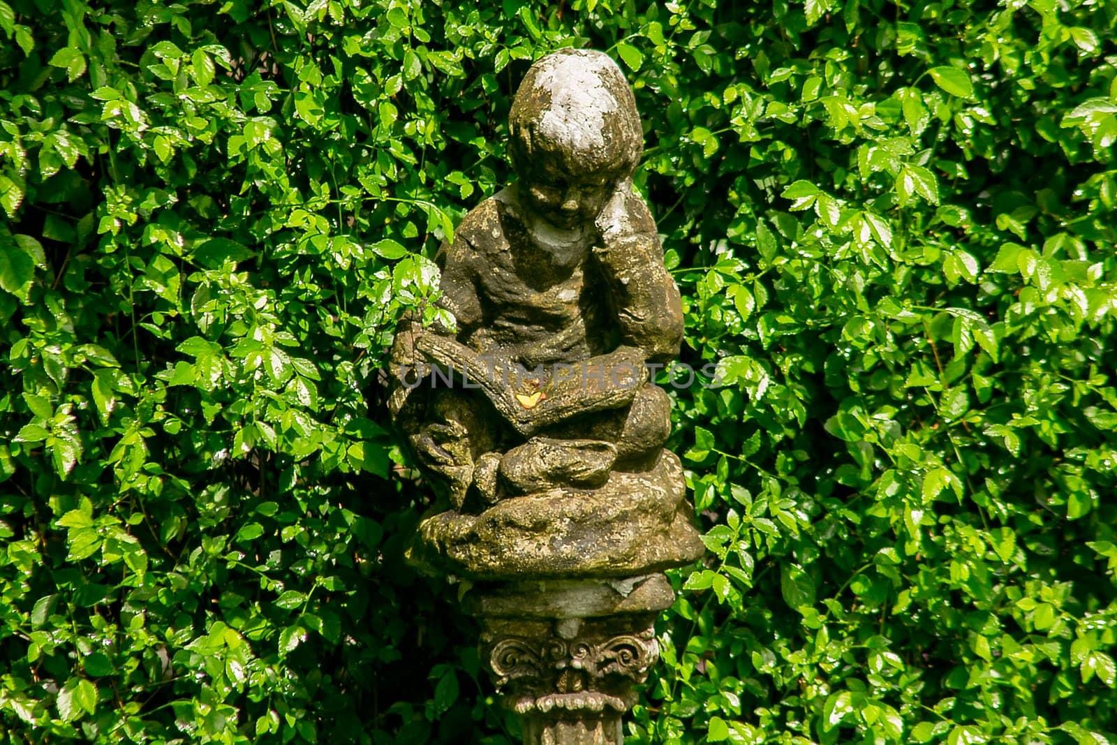 Cupids statue in the garden by Puripatt