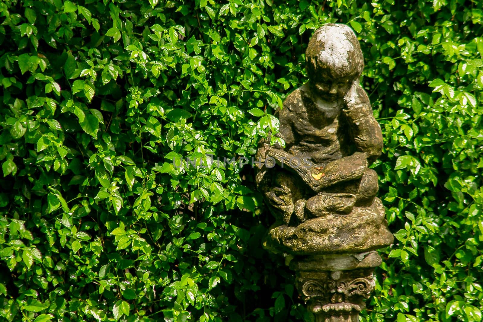 Cupids statue in the garden by Puripatt