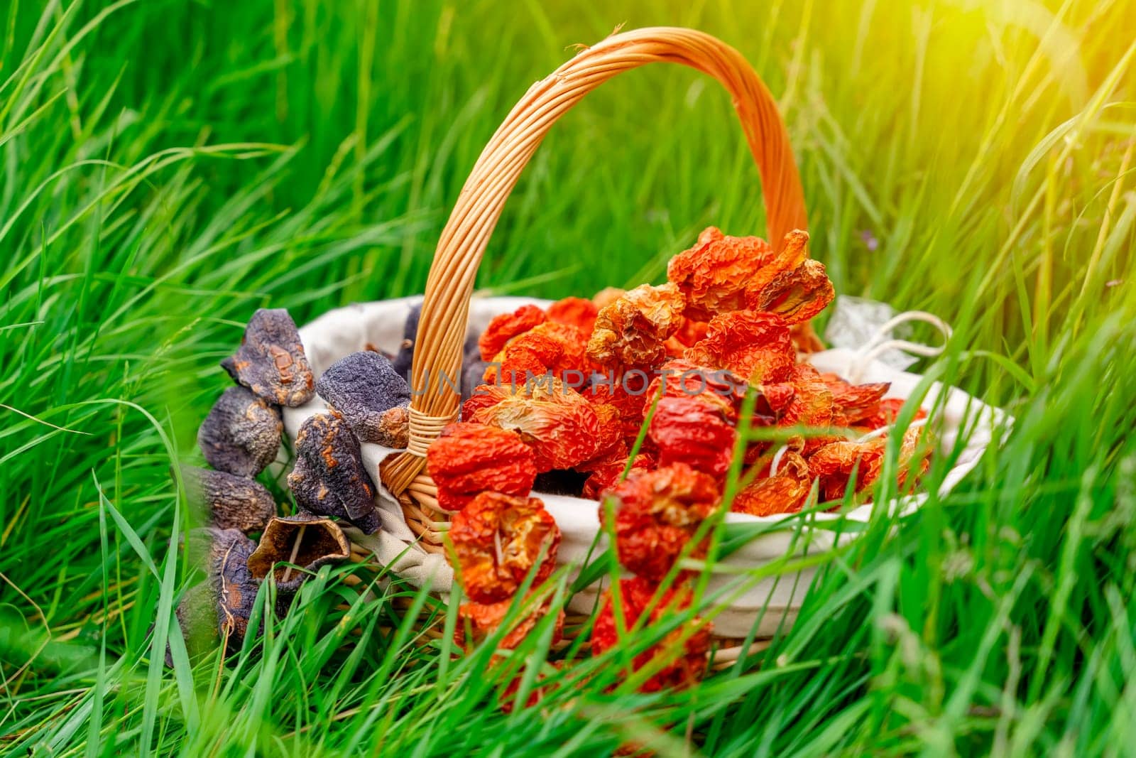 basket with Dried Bell Pepper and Dried Stuffed Eggplant in the grass for a picnic