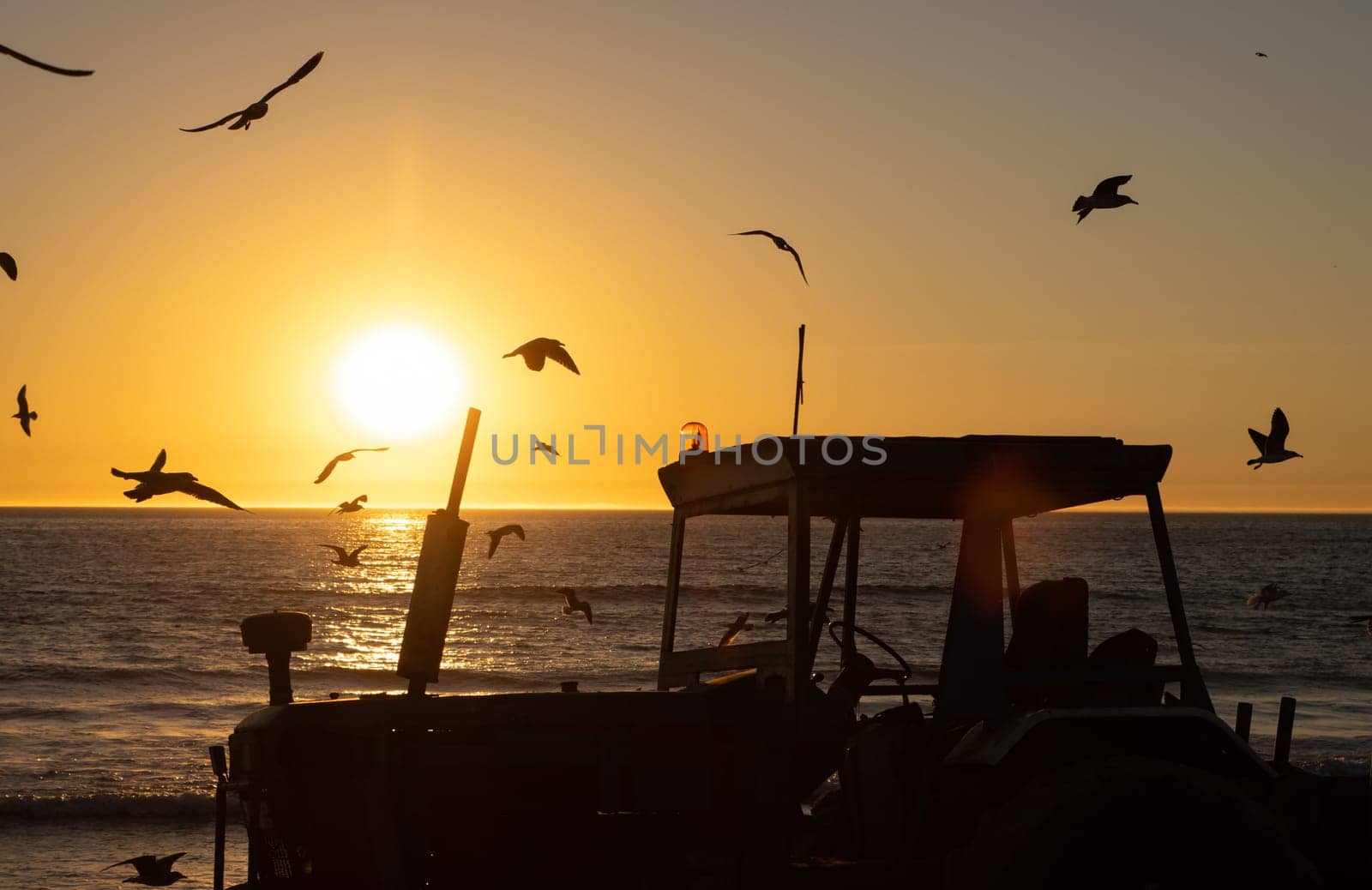 Seagulls fly over the sea at sunset - a tractor that helps in fishing stands on the shore. Mid shot